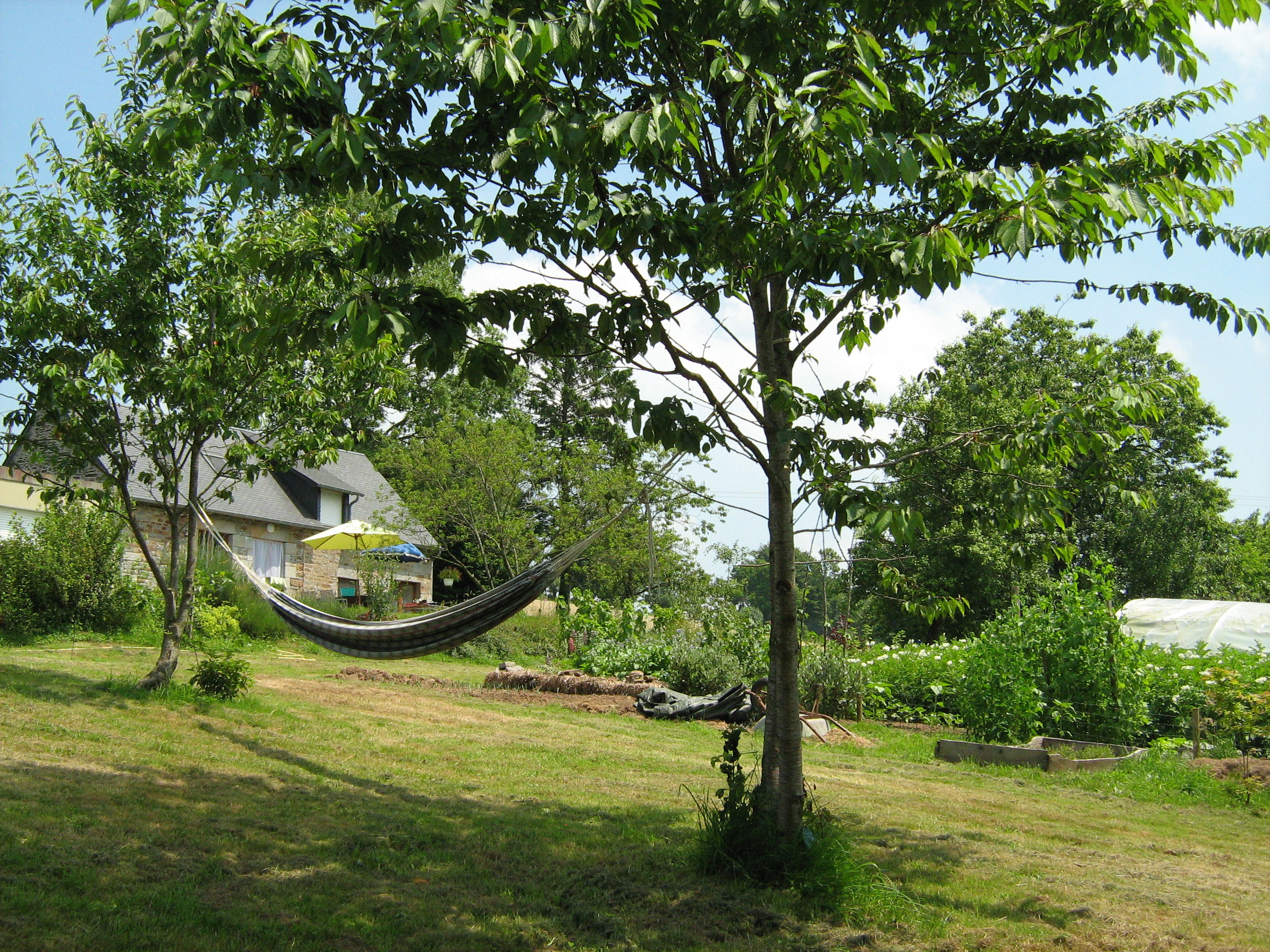 - image: 19