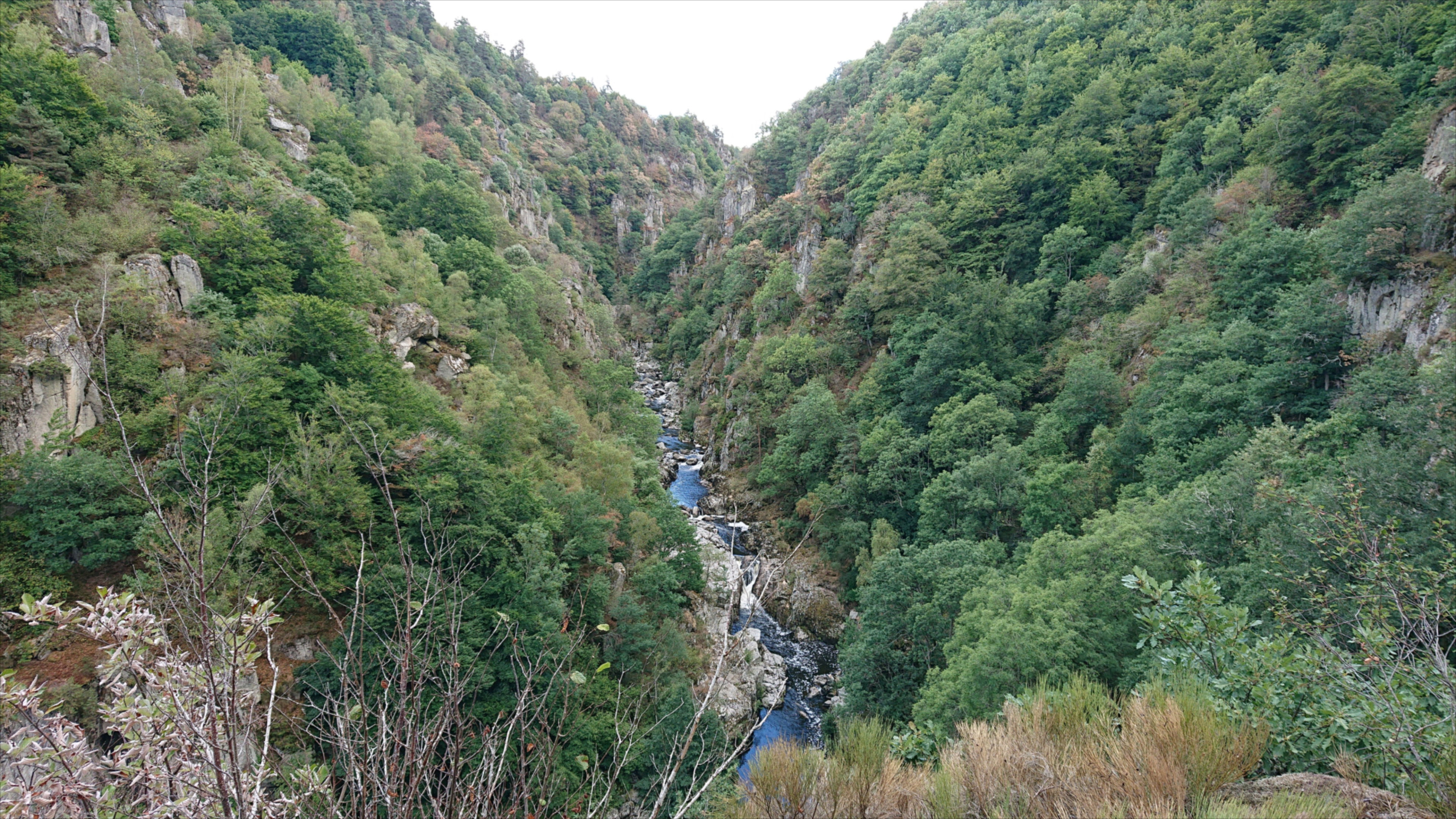 - image: 14