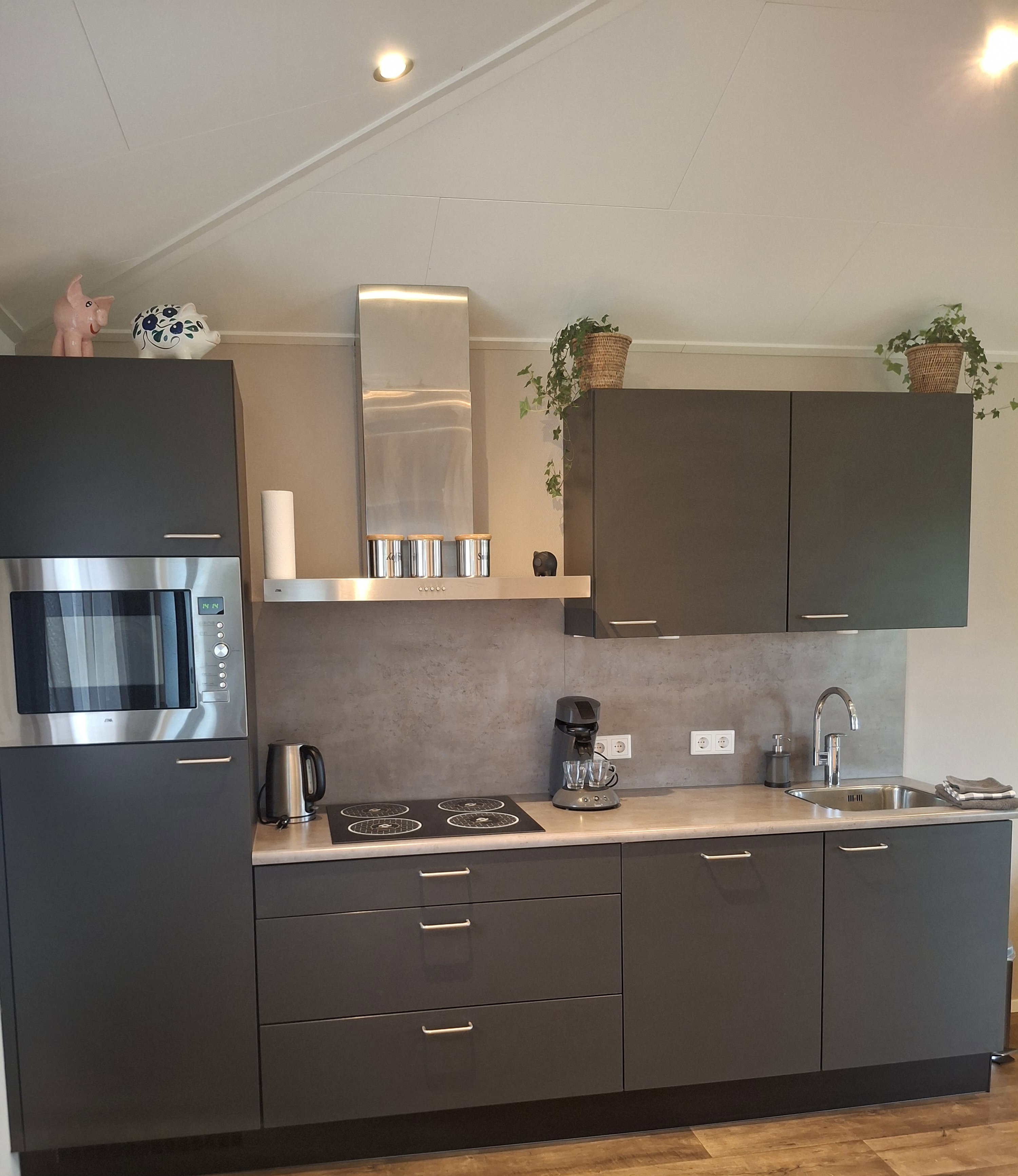 Maison nature à Langbroek