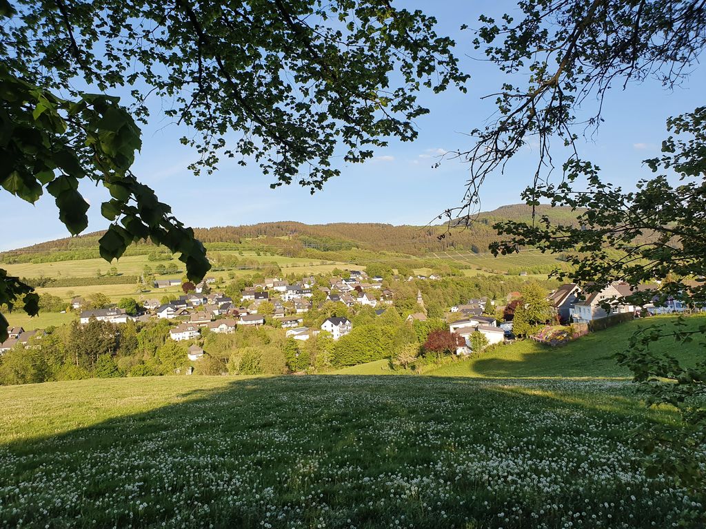 - image: 11