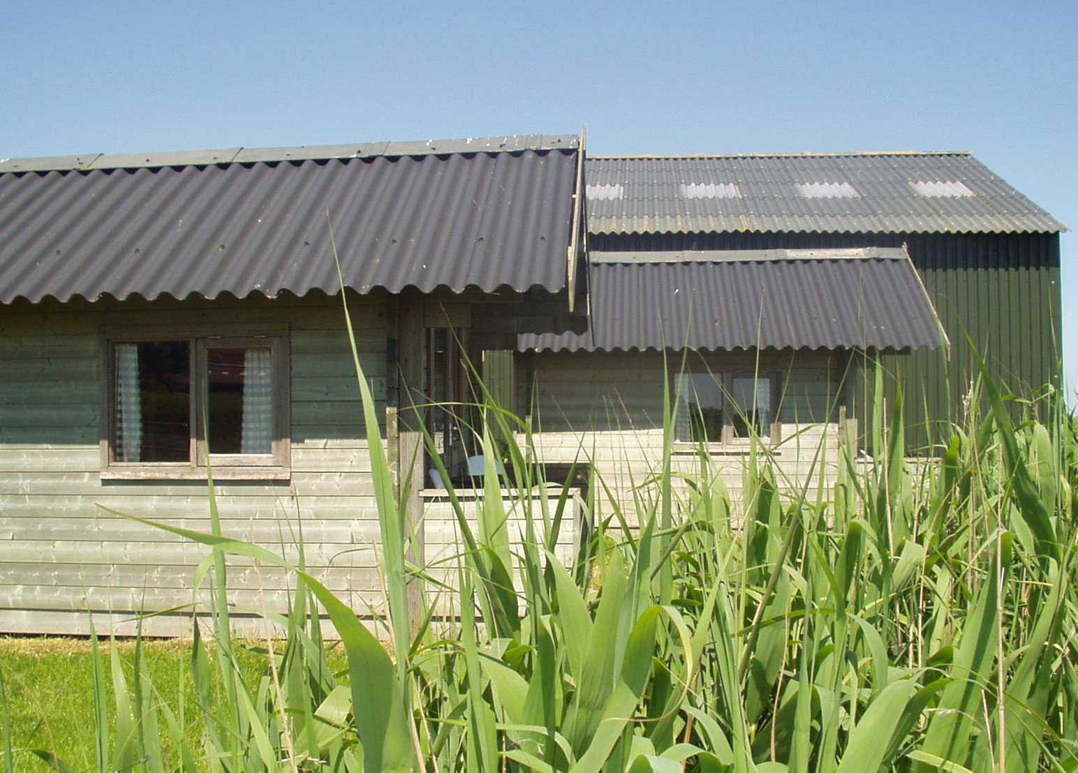 Maison nature à Nijhuizum