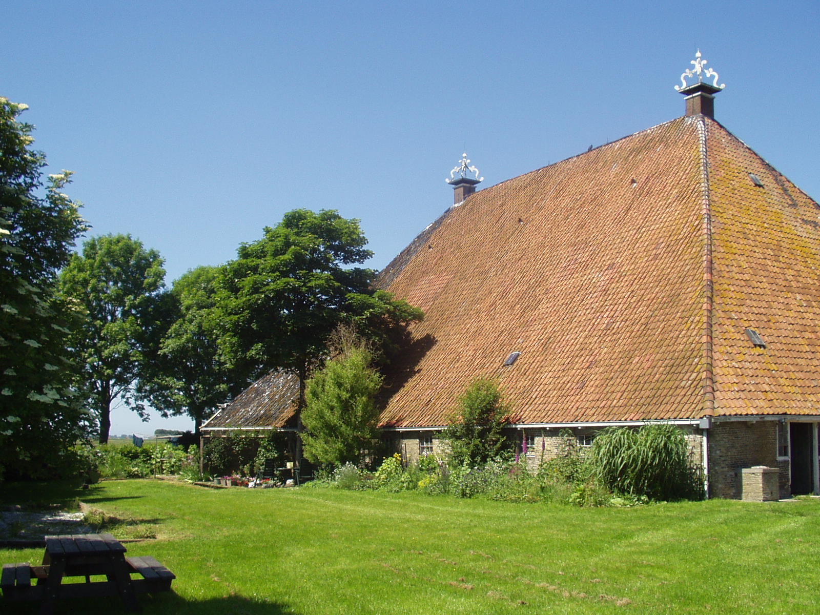 Maison nature à Nijhuizum