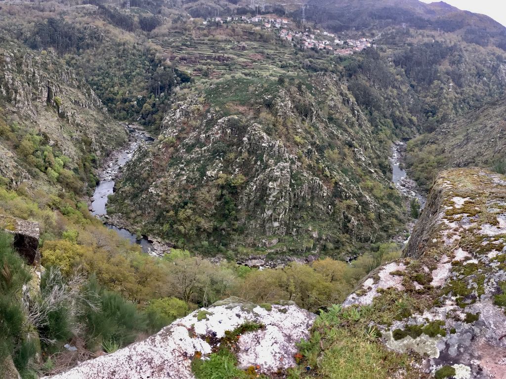 - image: 13