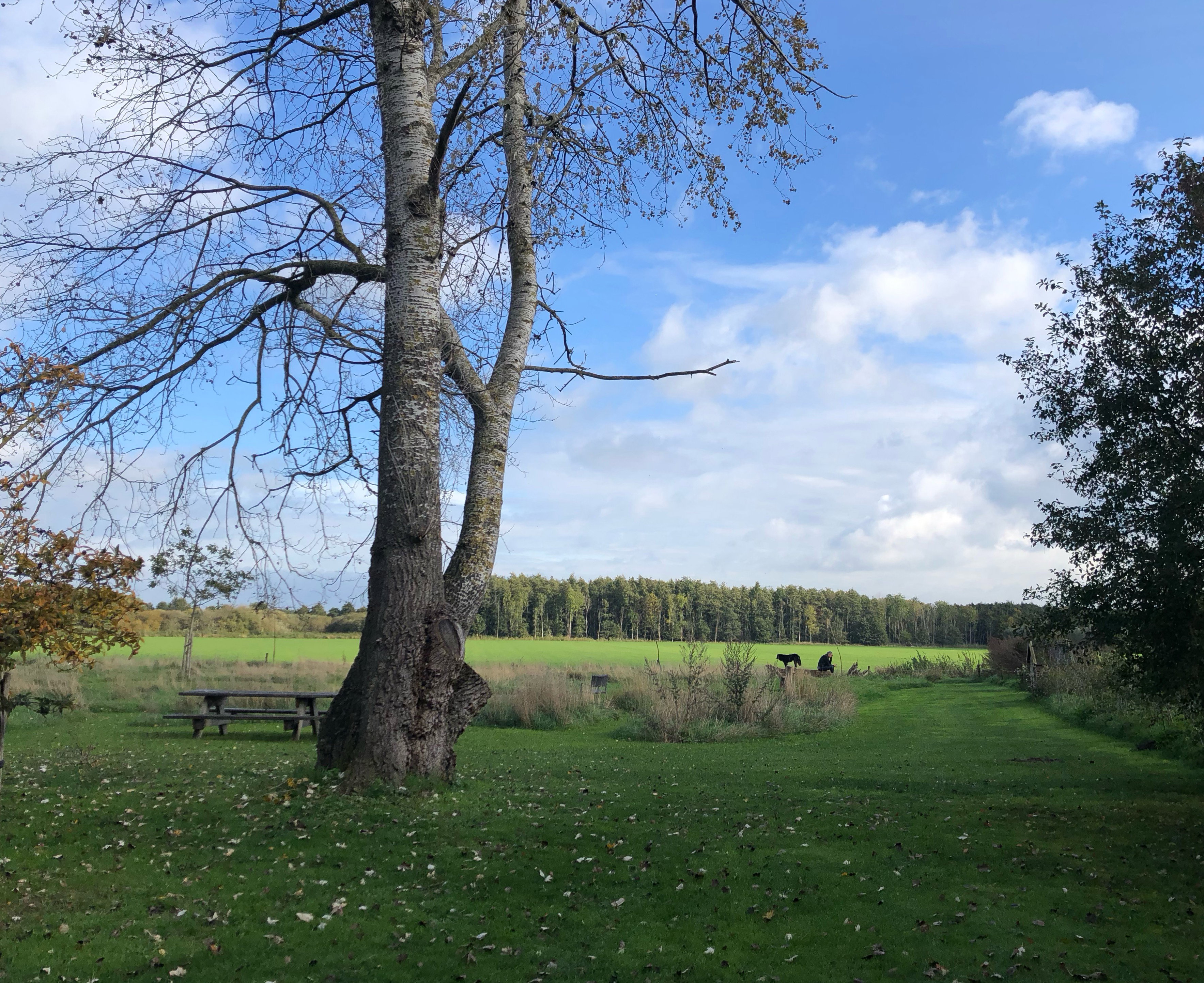 Maison nature à Zwolle