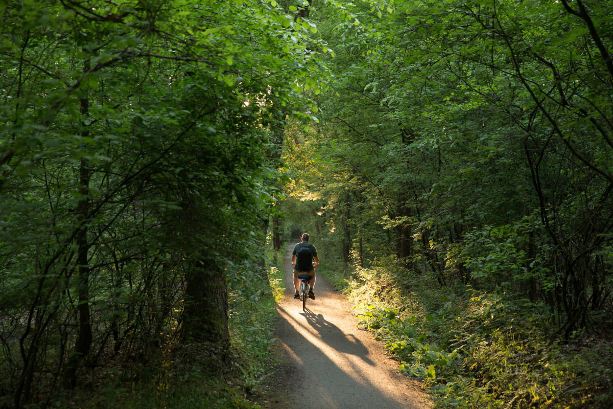 Natuurhuisje in Zorgvlied