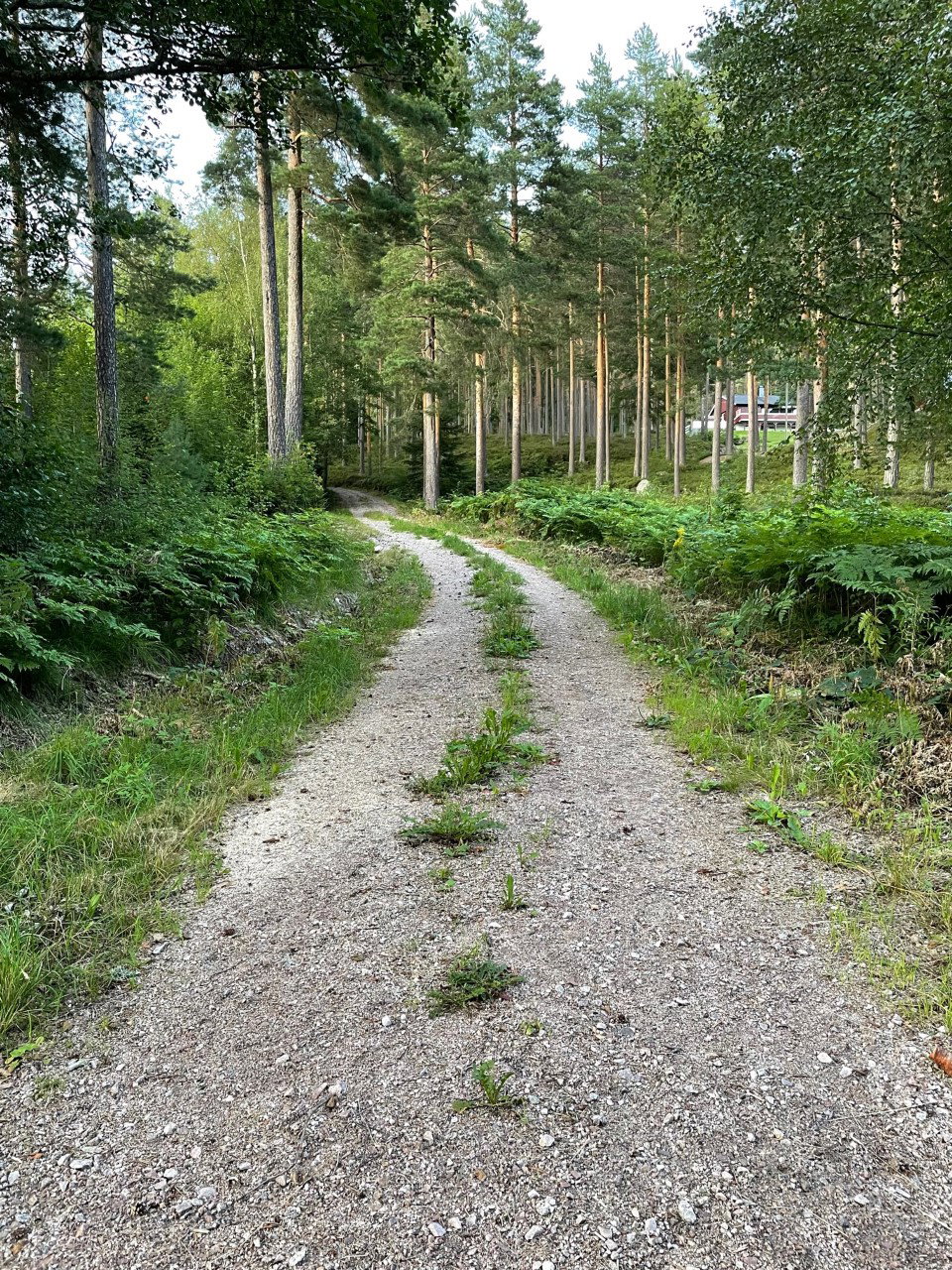 - image: 24