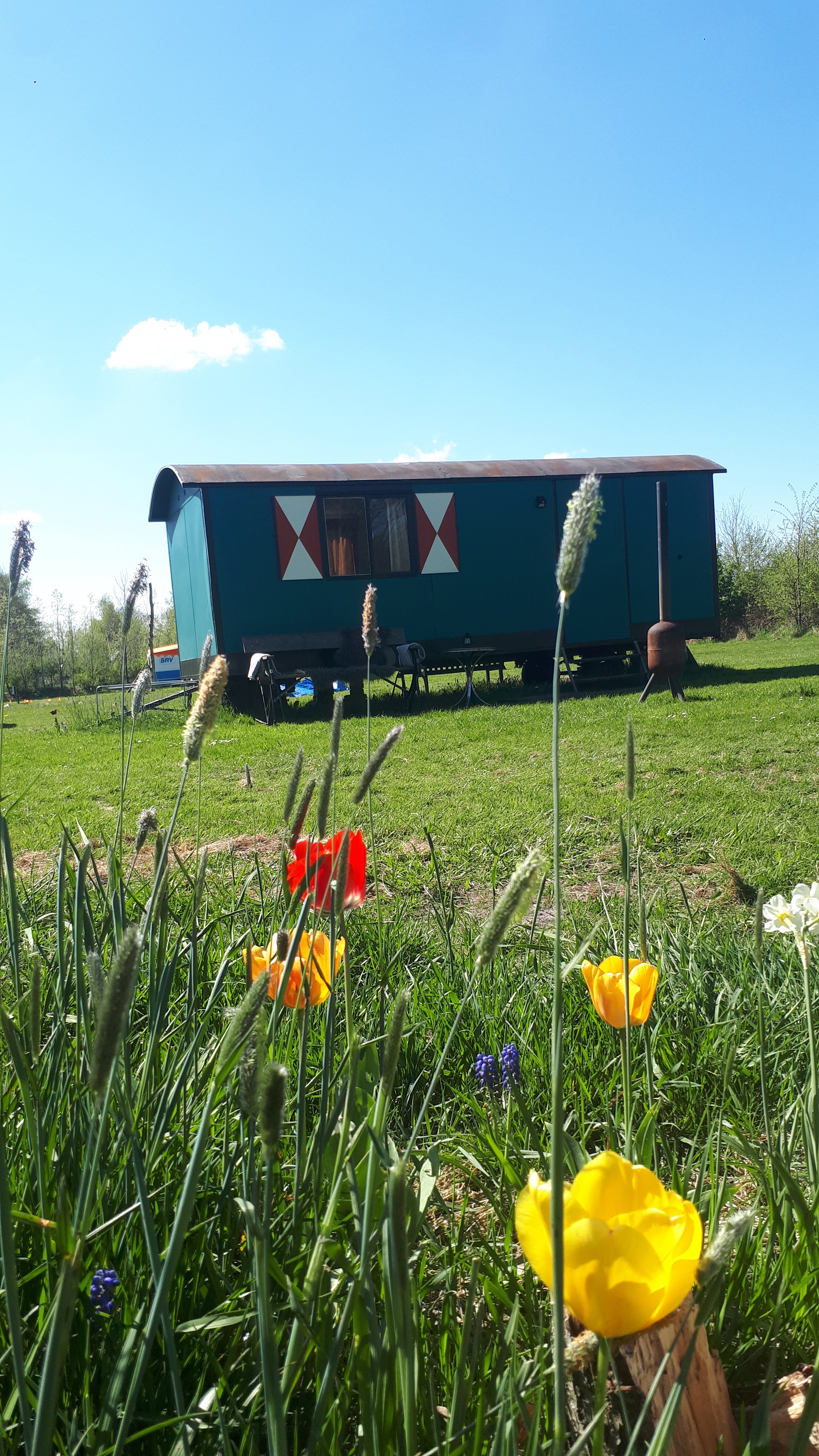 Maison nature à Haulerwijk