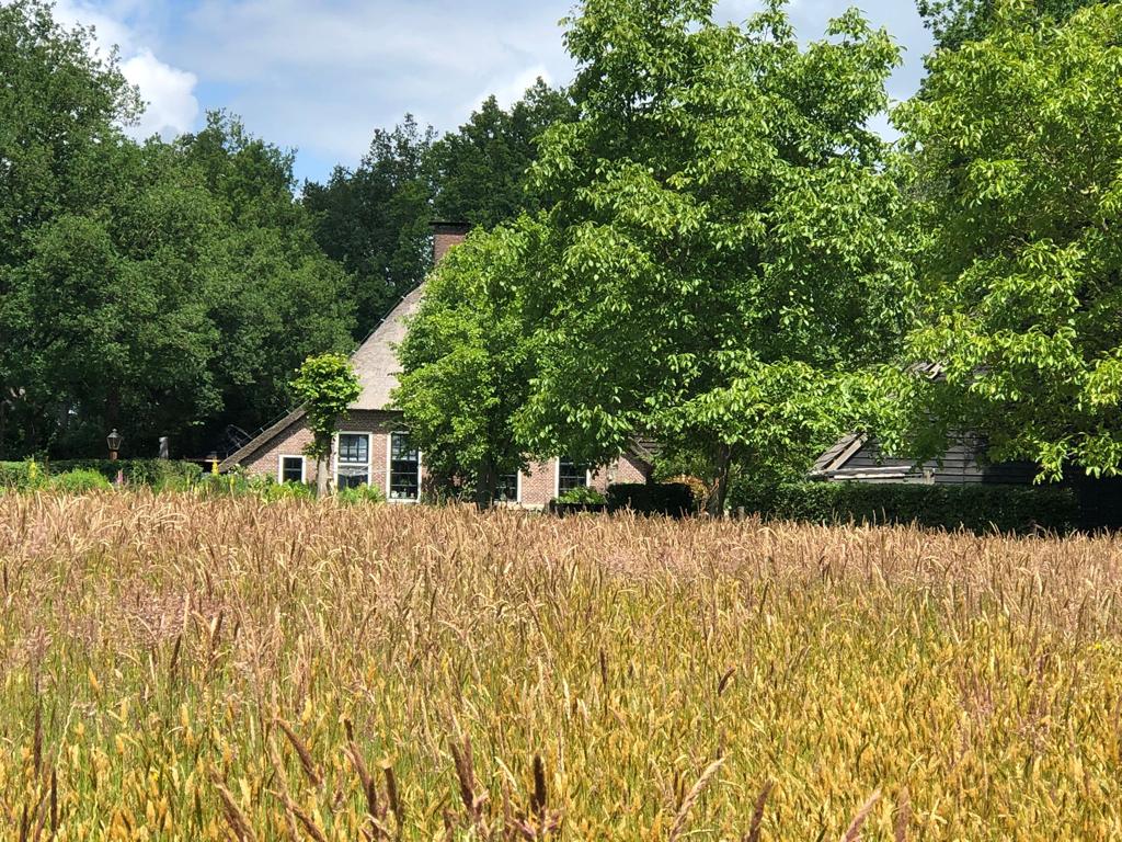 Natuurhuisje in Havelte