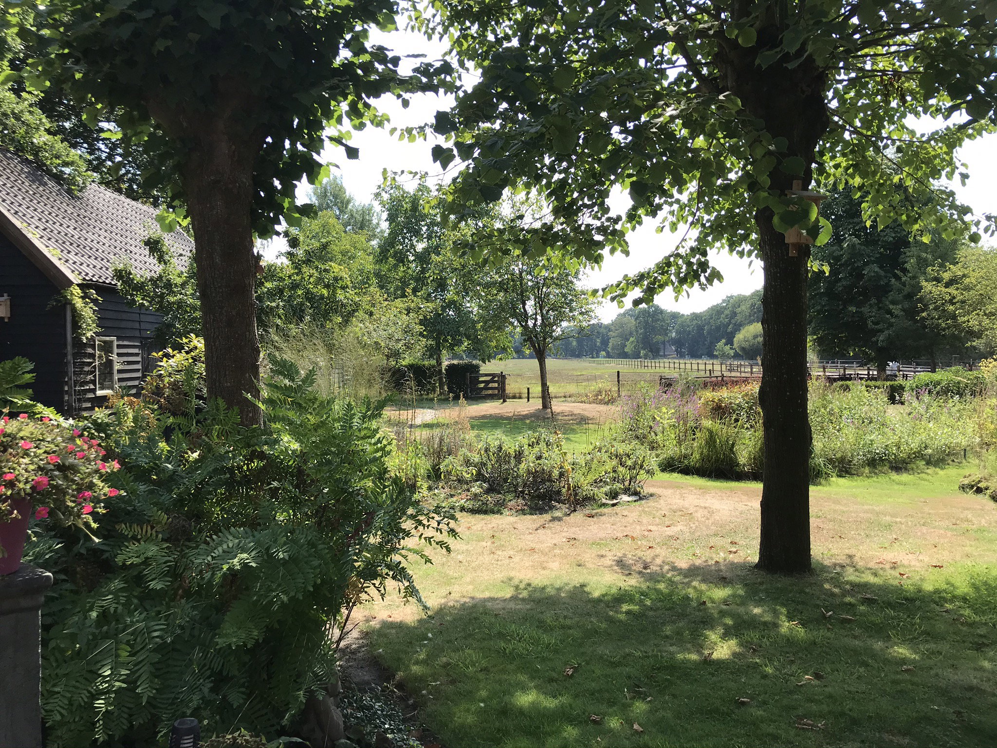 Natuurhuisje in Havelte