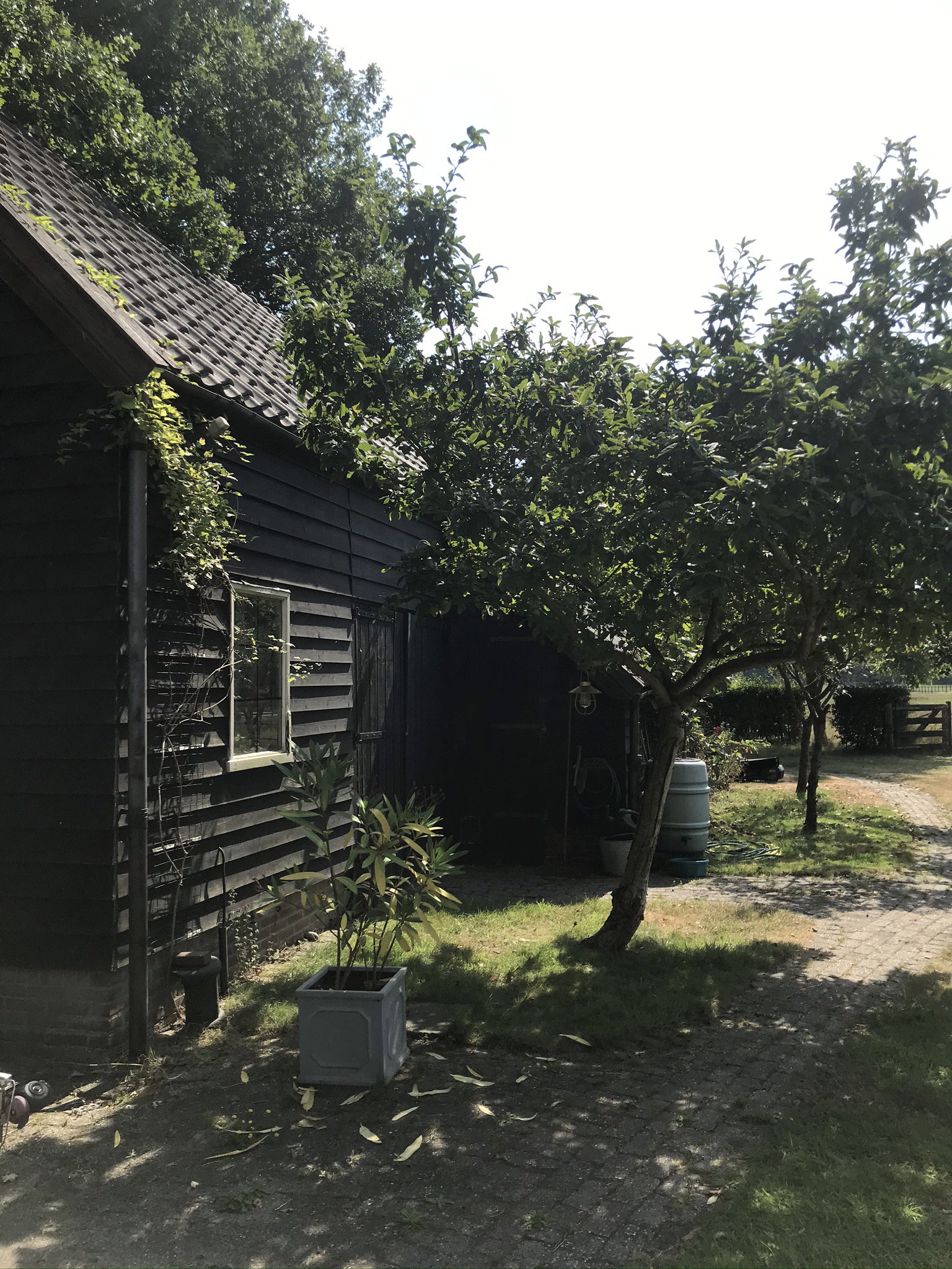 Natuurhuisje in Havelte