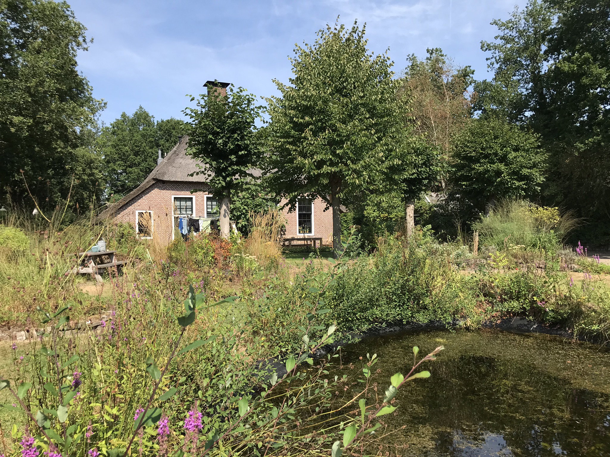 Natuurhuisje in Havelte