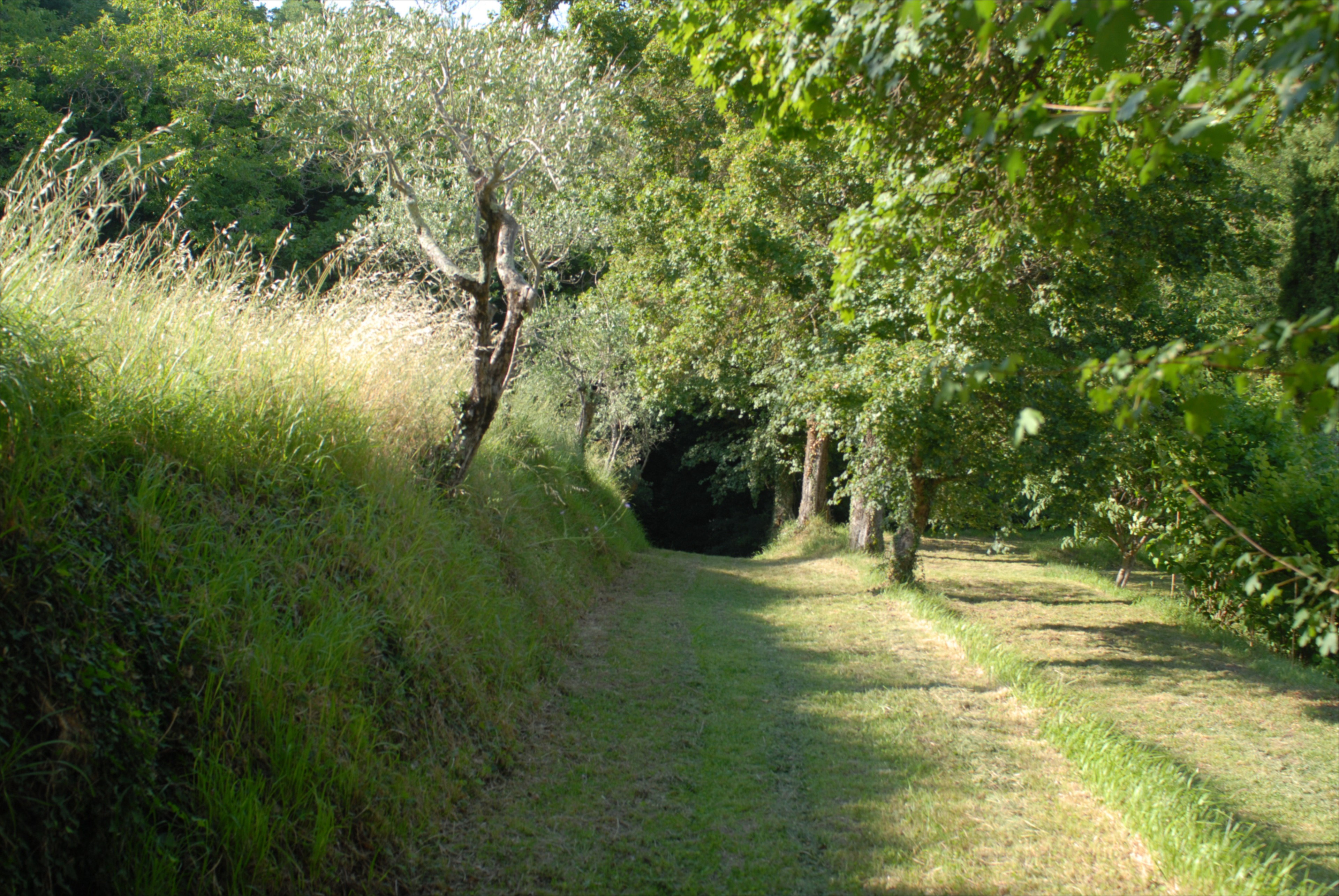 - image: 21