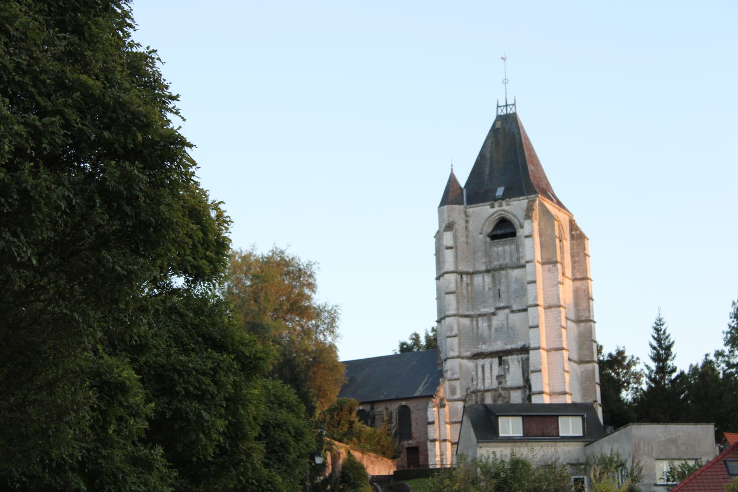 - image: 12