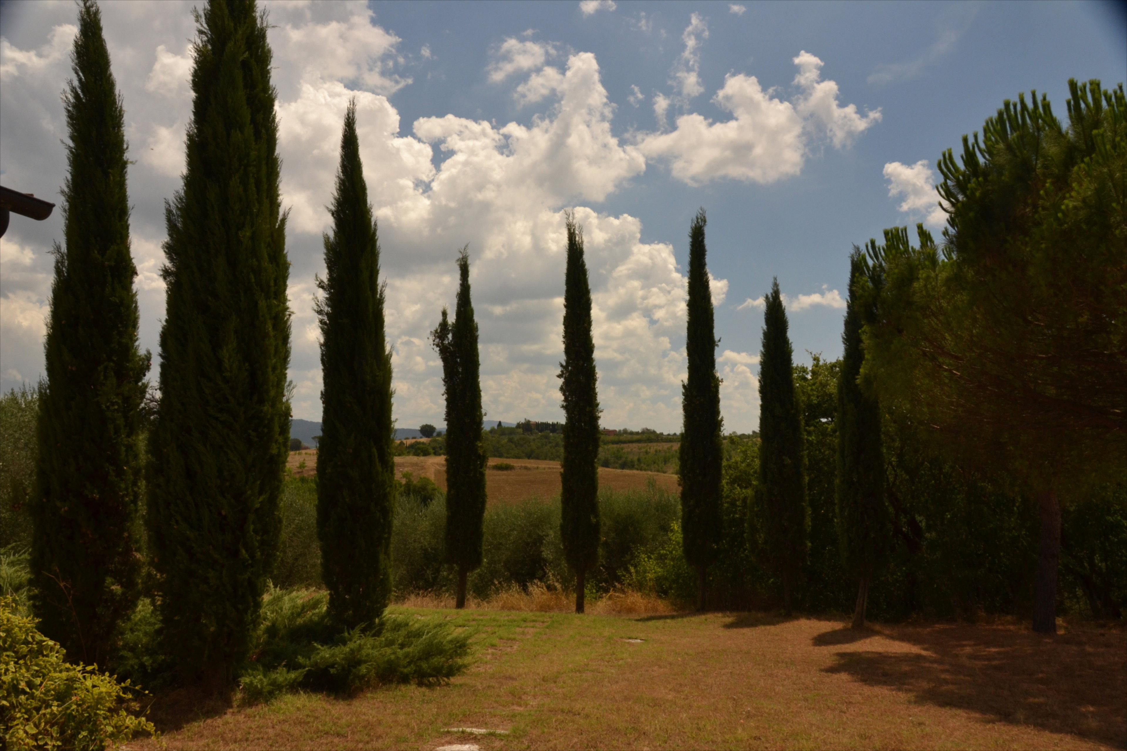 - image: 25