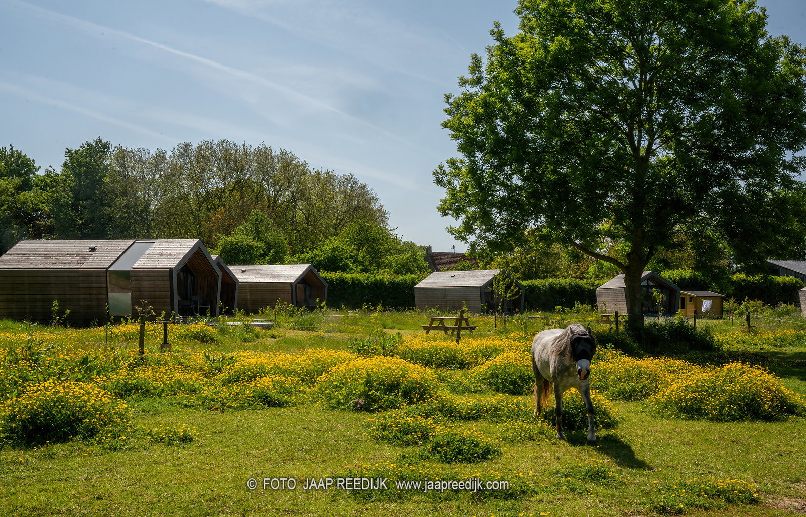 Natuurhuisje in Sommeldsijk