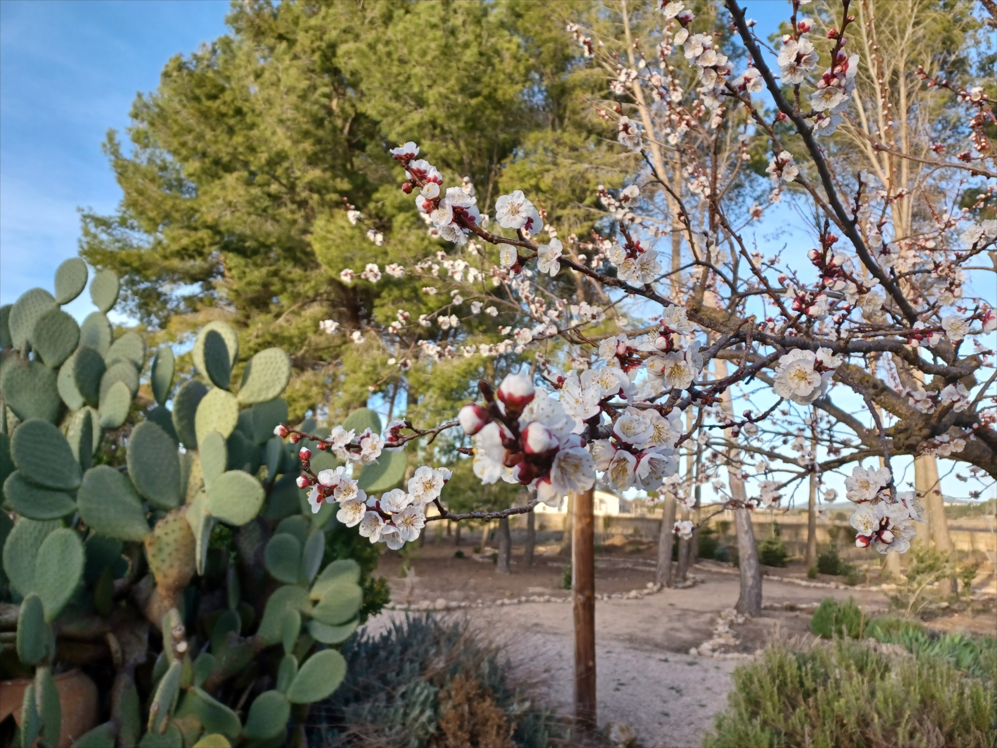 Casa nella natura a Beneixama