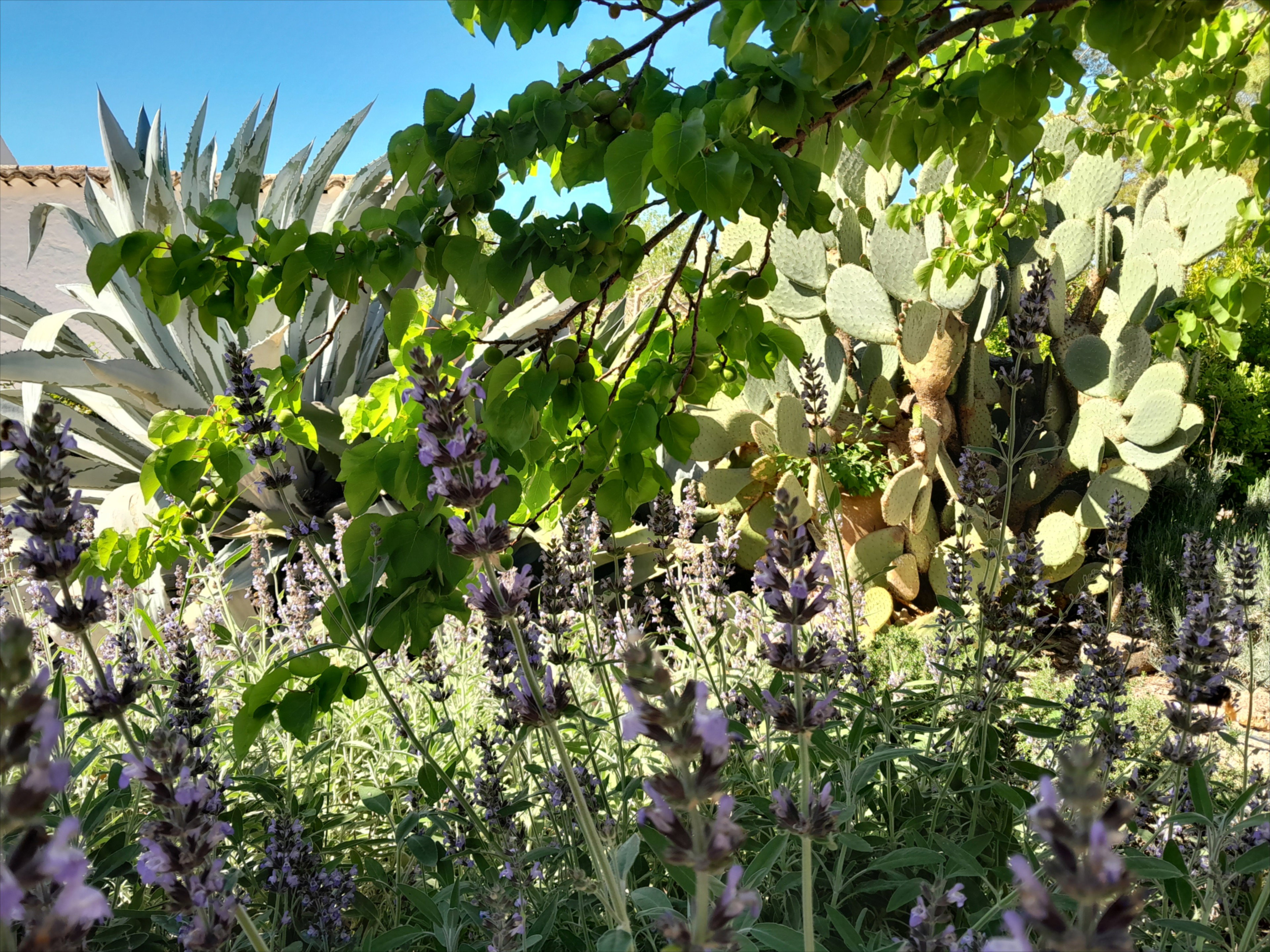 Casa nella natura a Beneixama