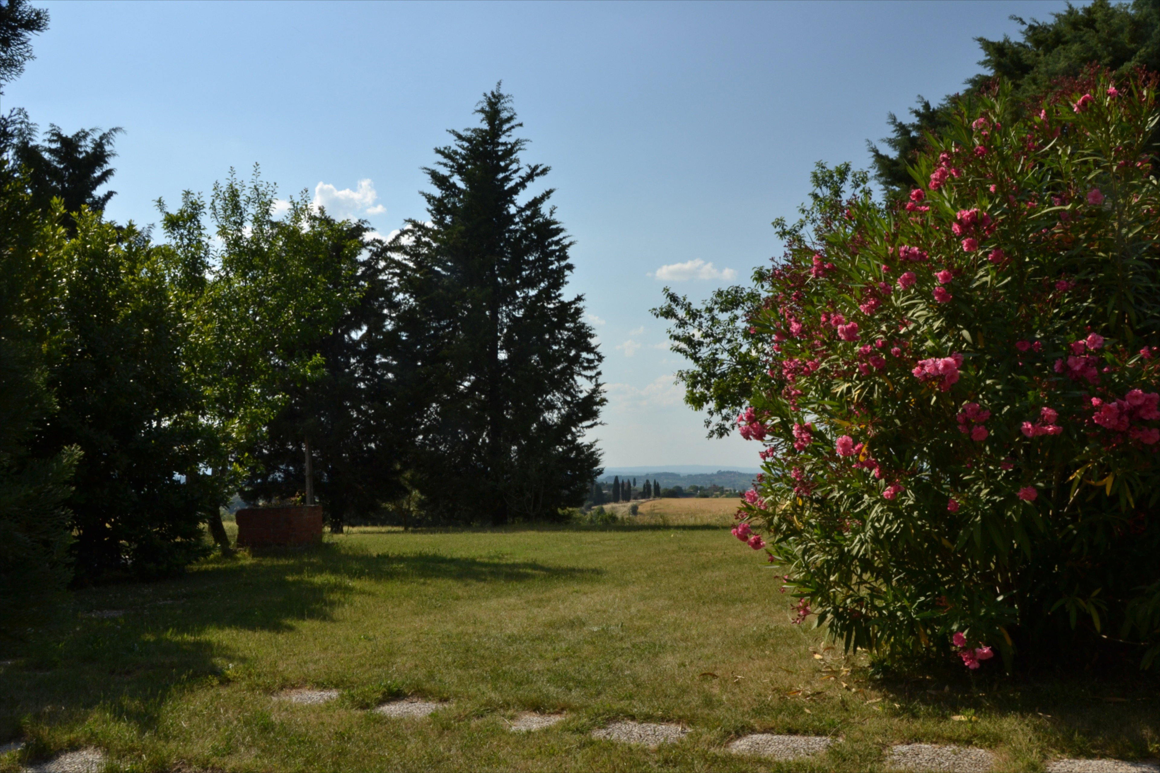 - image: 14