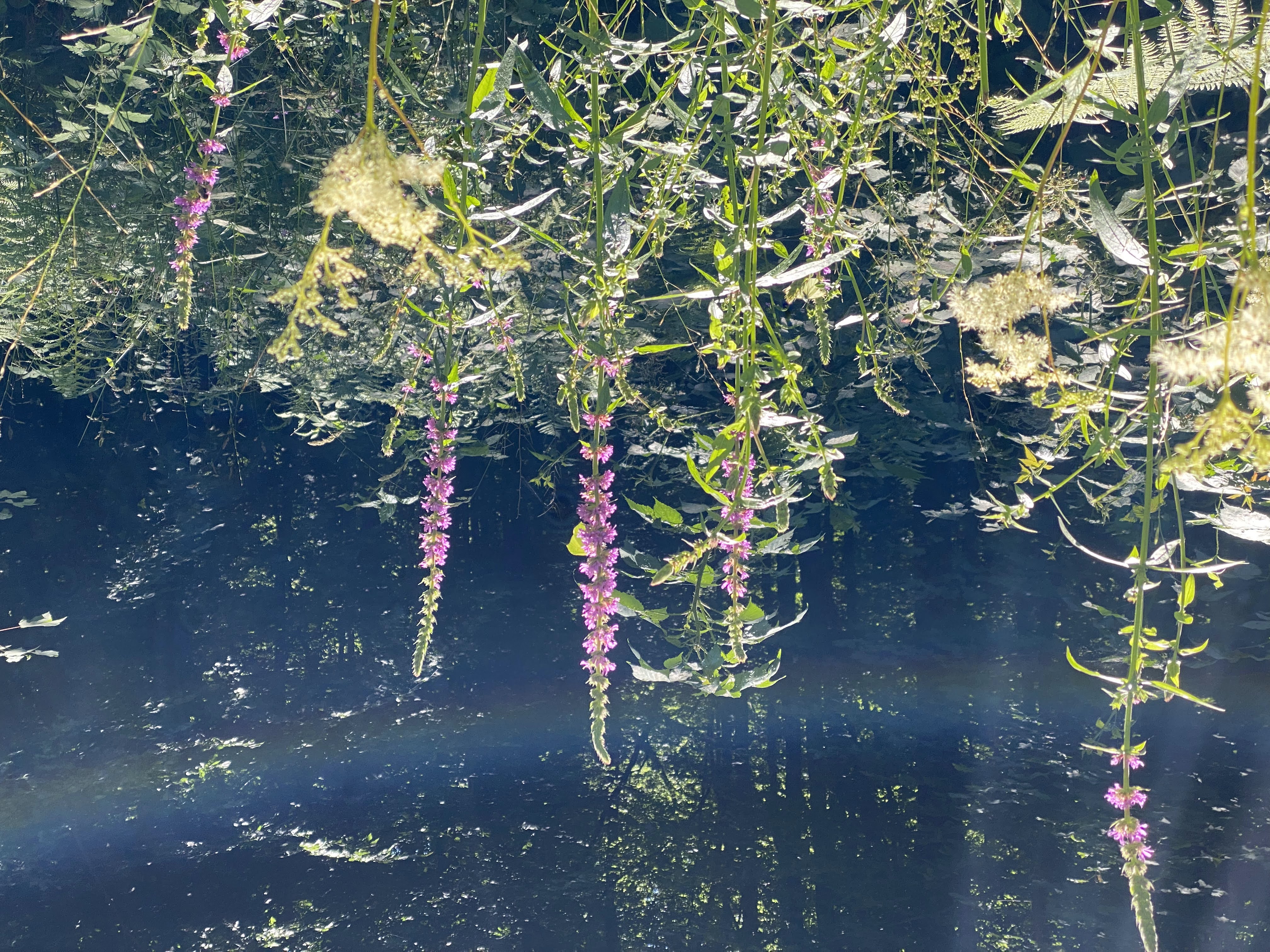 - image: 57