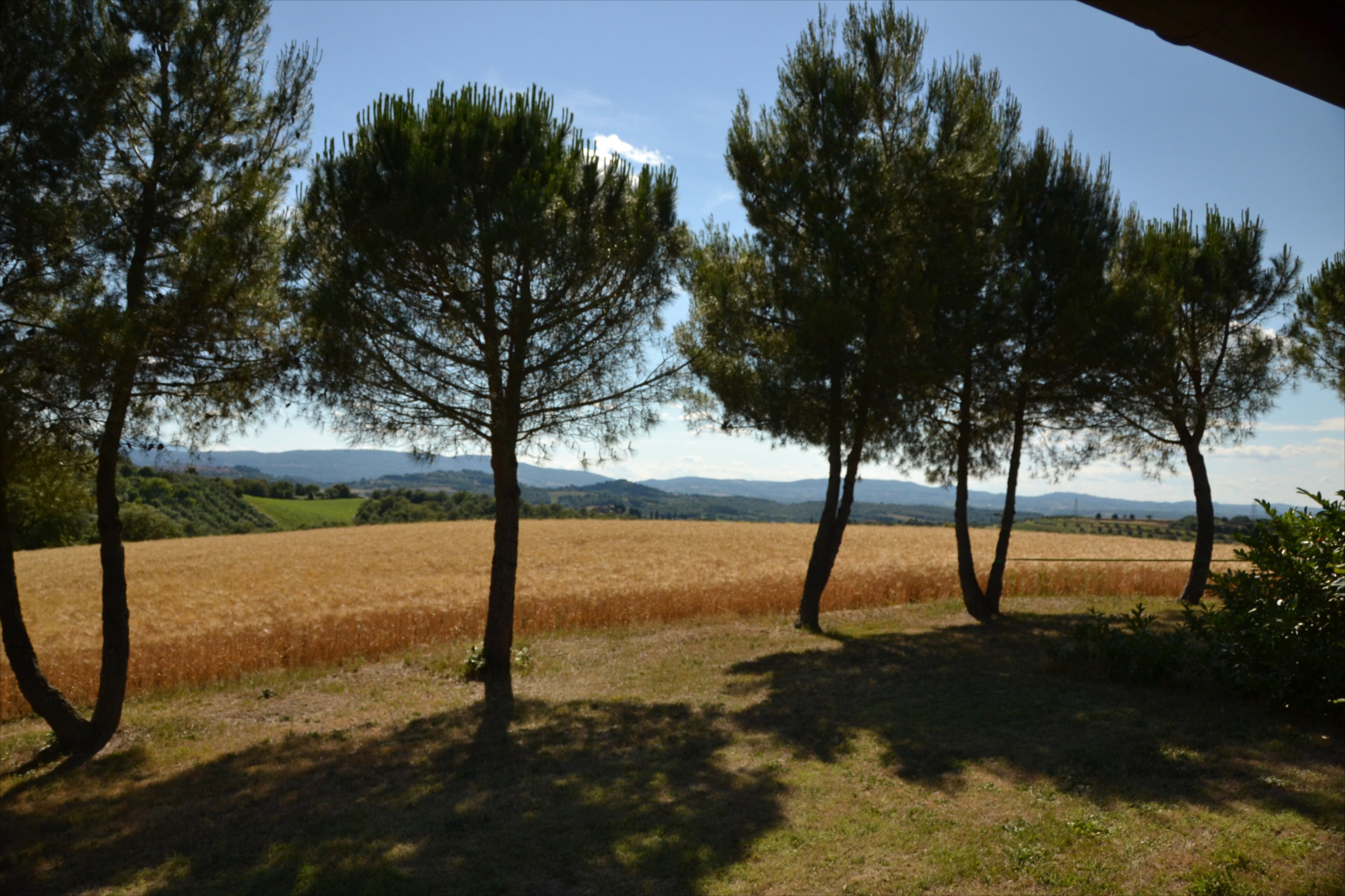 Nature house in Castiglione del lago