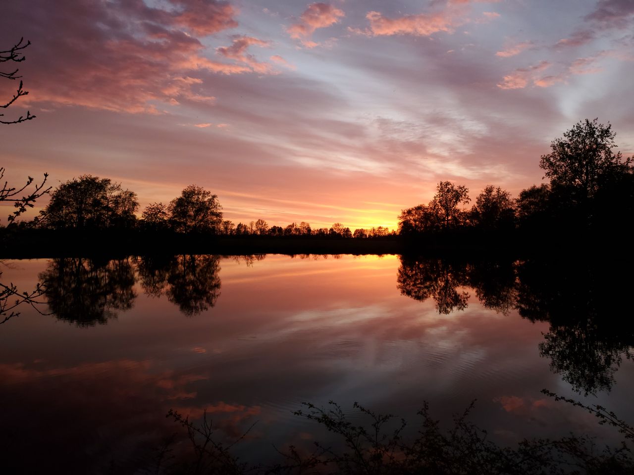 - image: 19