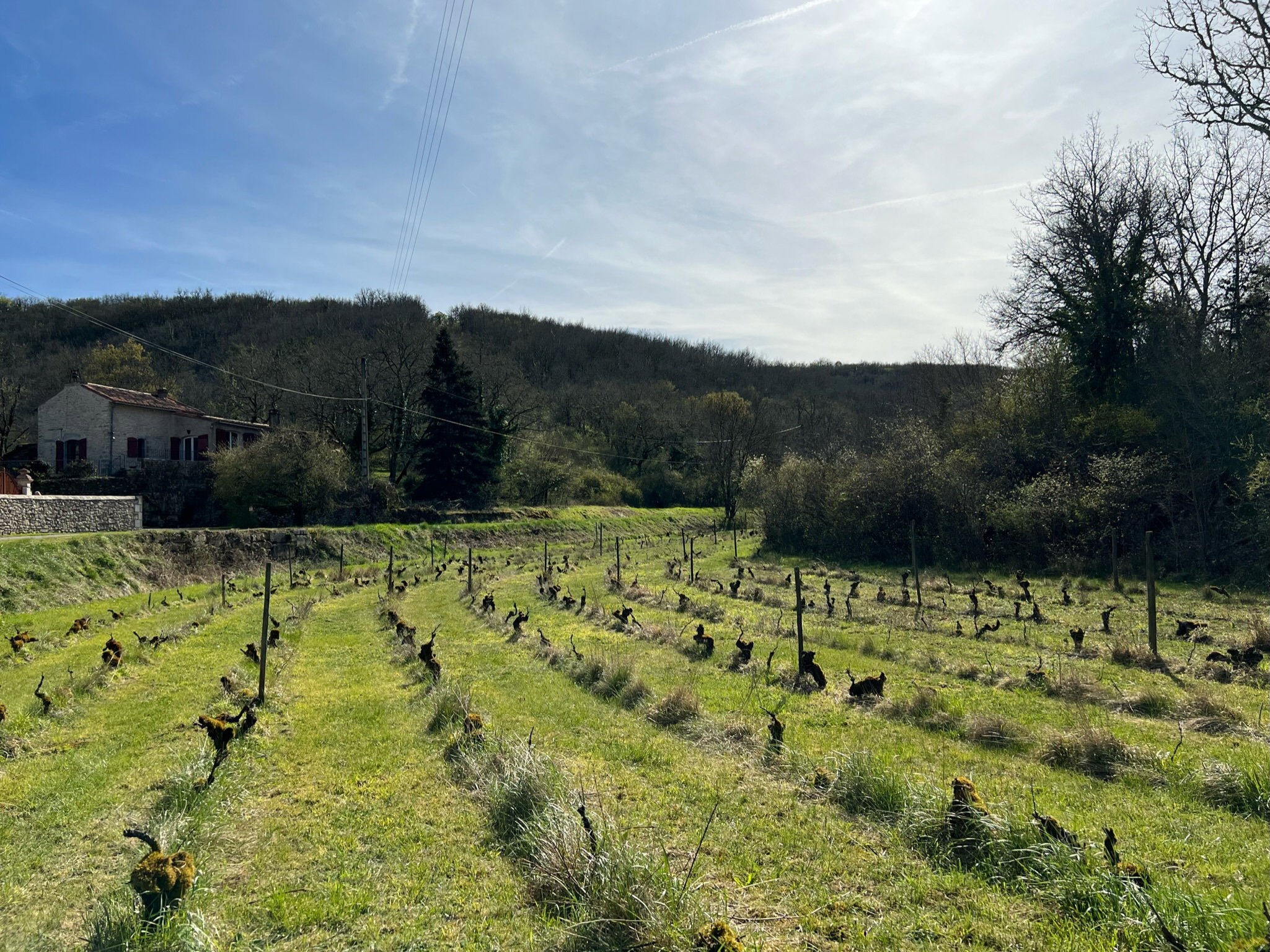 Casa nella natura a Laroque-des-Arcs