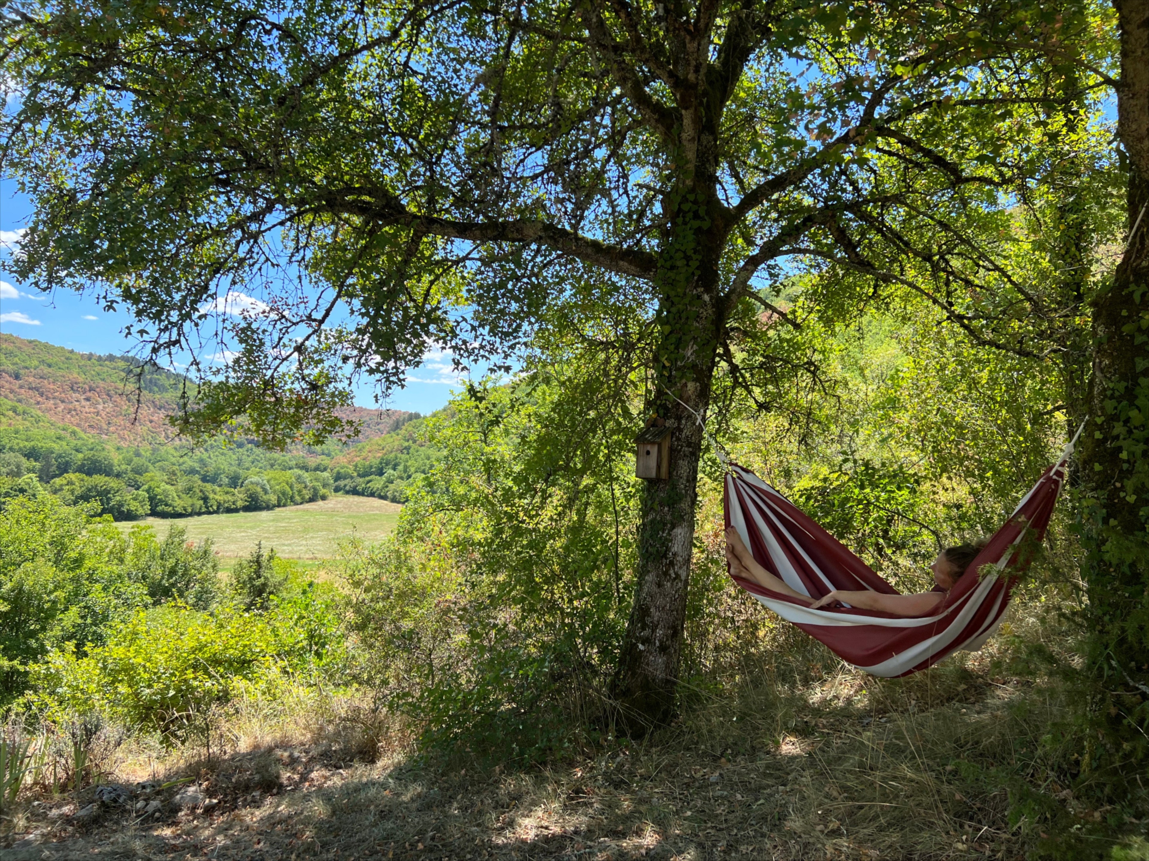 Casa nella natura a Laroque-des-Arcs