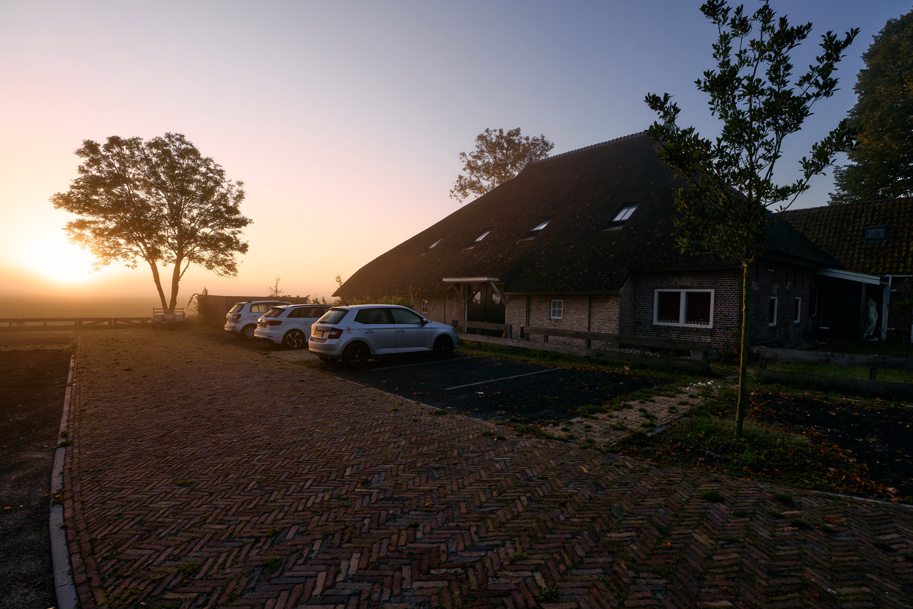 - image: 82