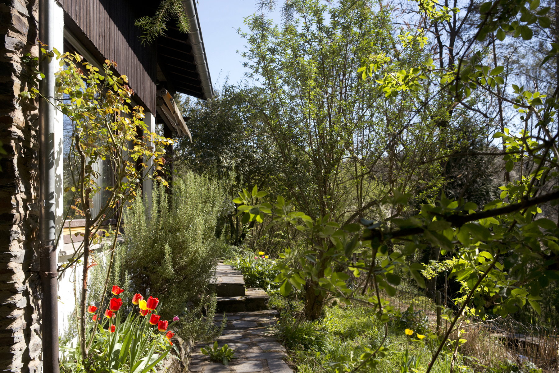 Natuurhuisje in Morscheid
