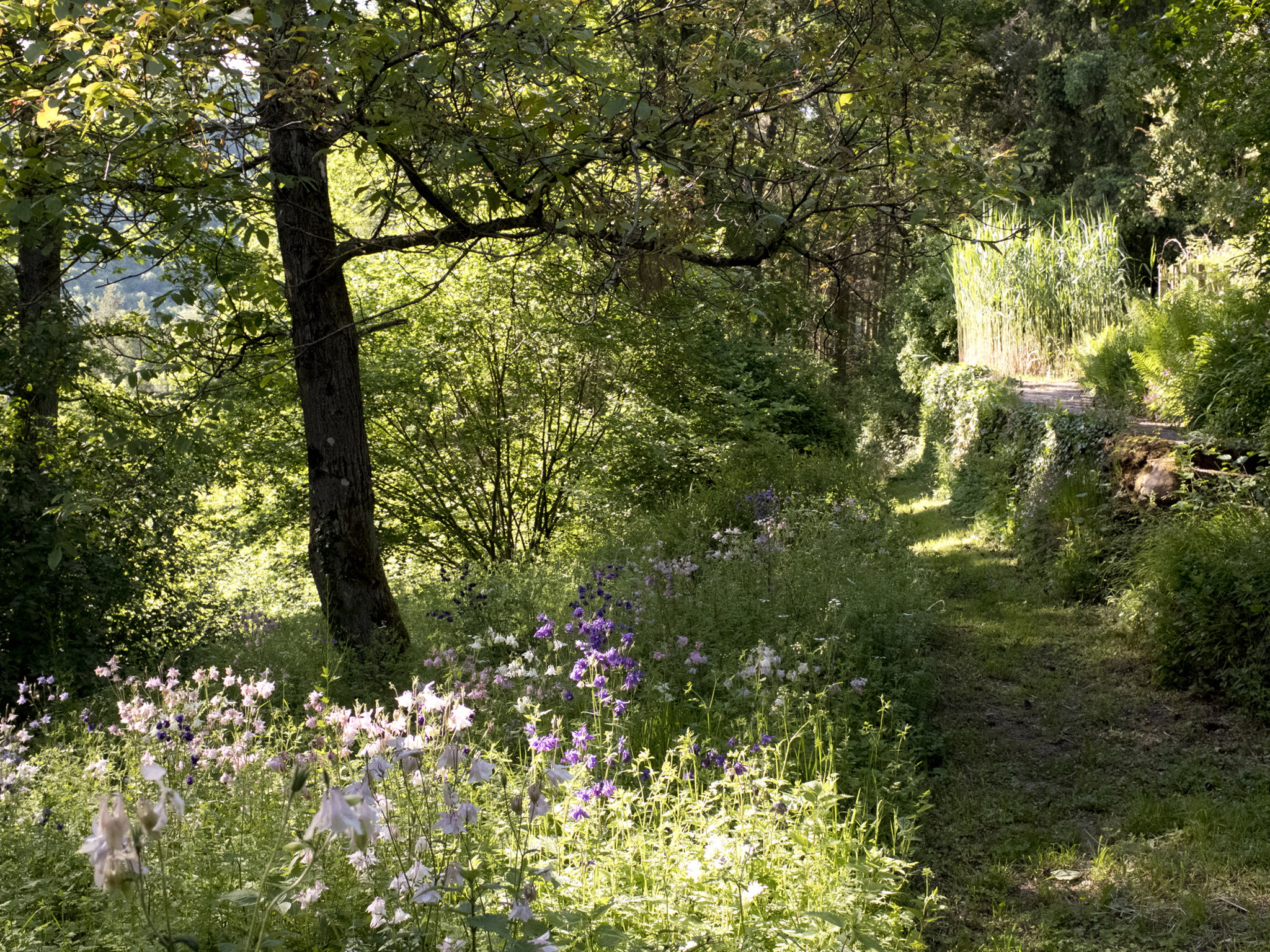 Natuurhuisje in Morscheid