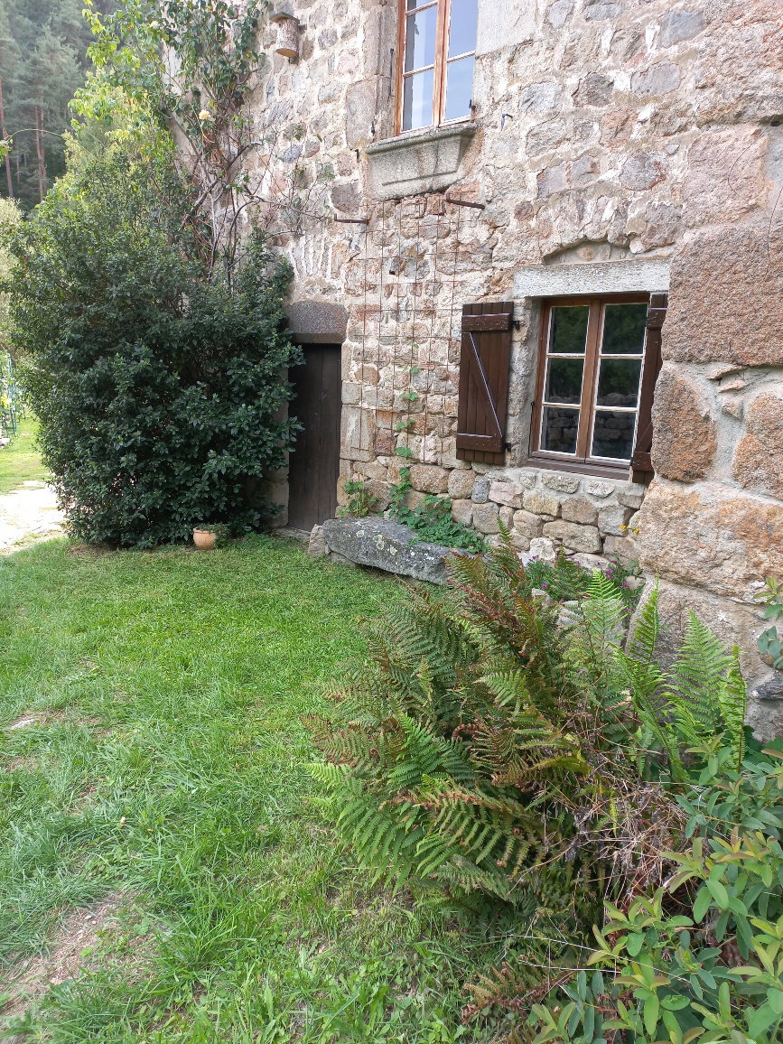 - image: 13