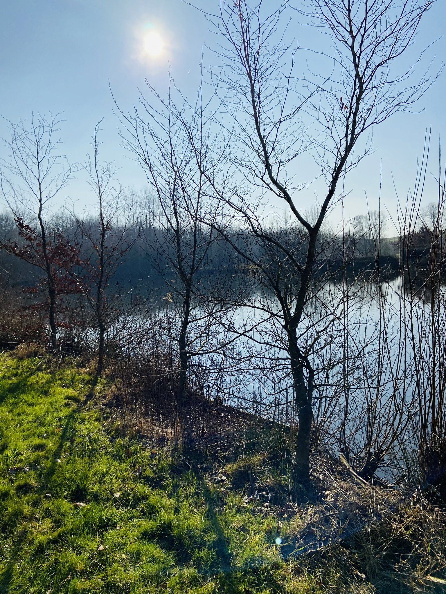 Naturhäuschen in Eerde (Schijndel - Veghel - Sint Oedenrode / Meierijstad)