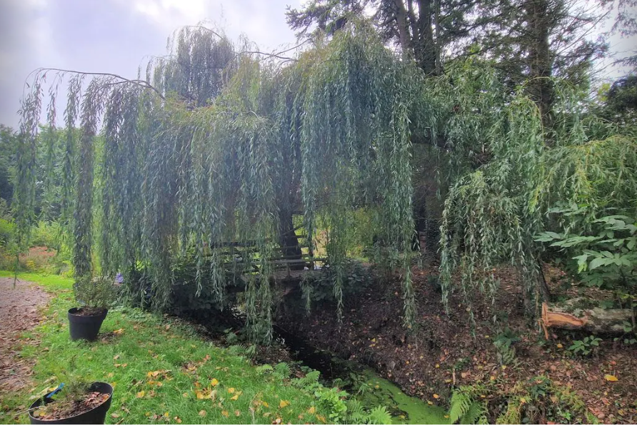 Naturhäuschen in Plouegat guerand