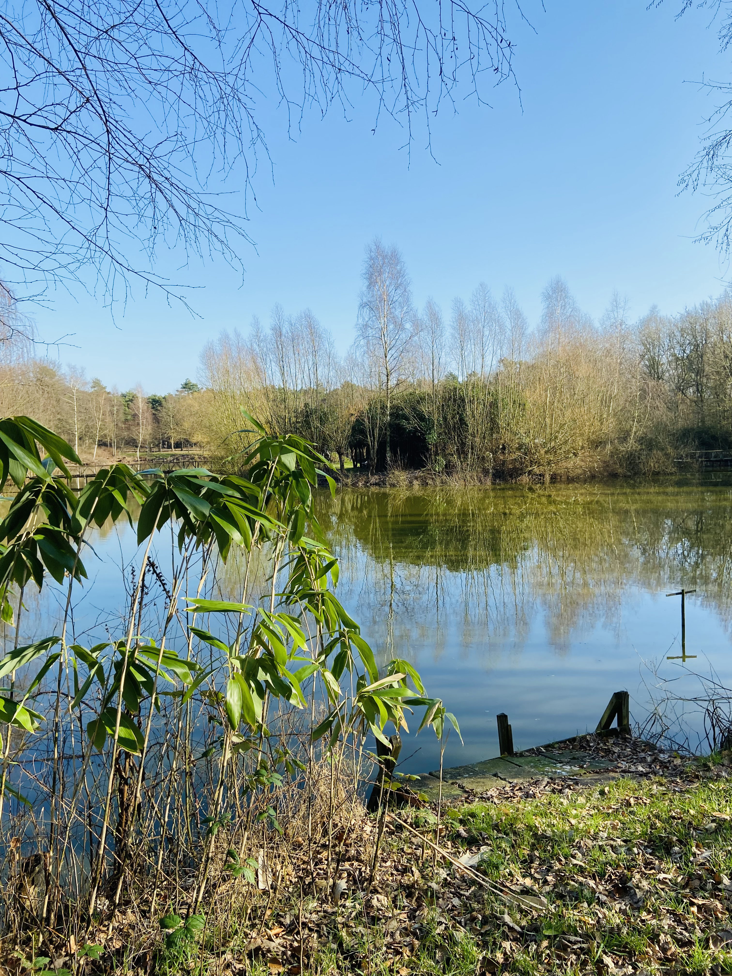 Naturhäuschen in Eerde (Schijndel - Veghel - Sint Oedenrode / Meierijstad)