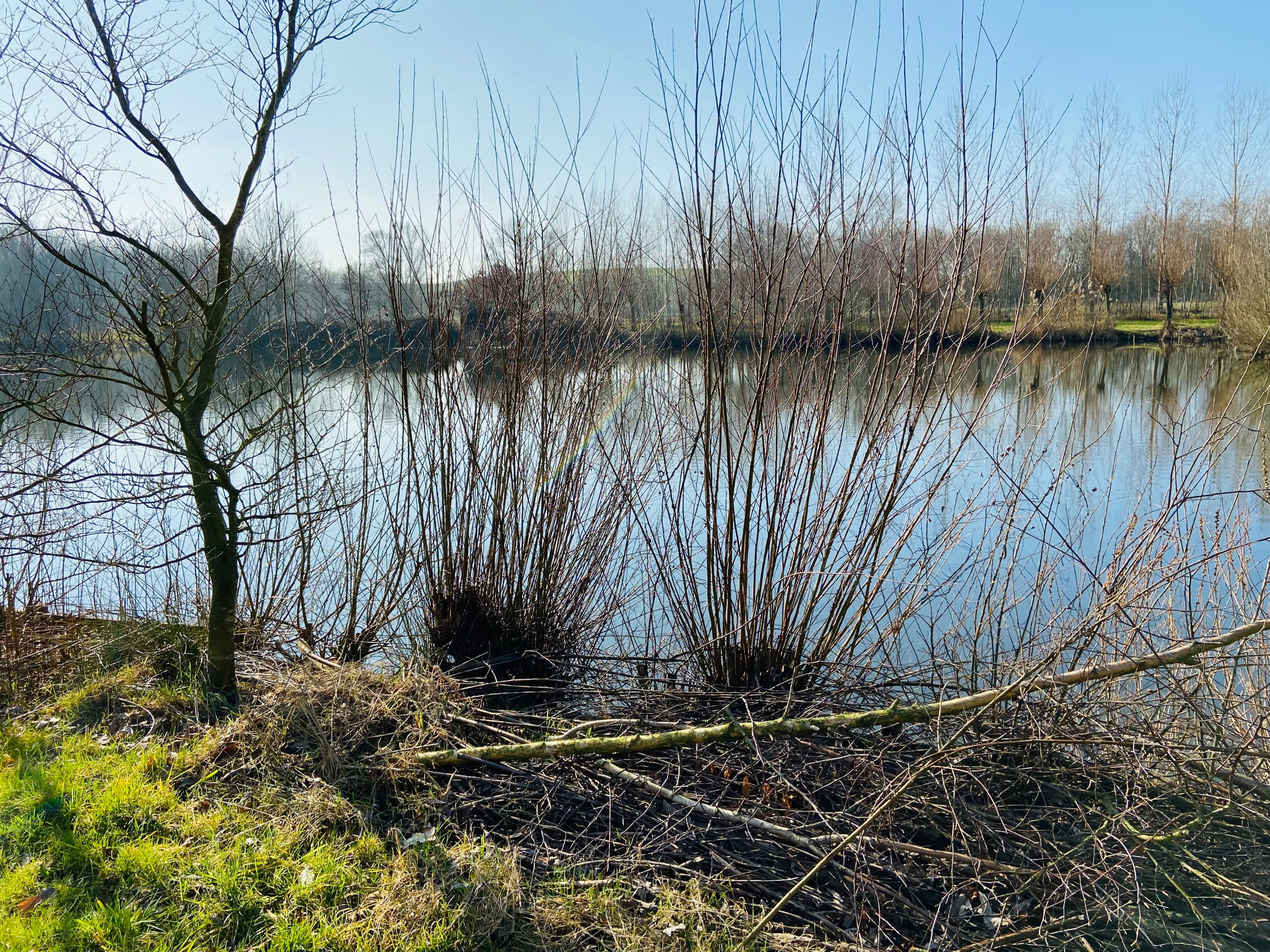 Naturhäuschen in Eerde (Schijndel - Veghel - Sint Oedenrode / Meierijstad)