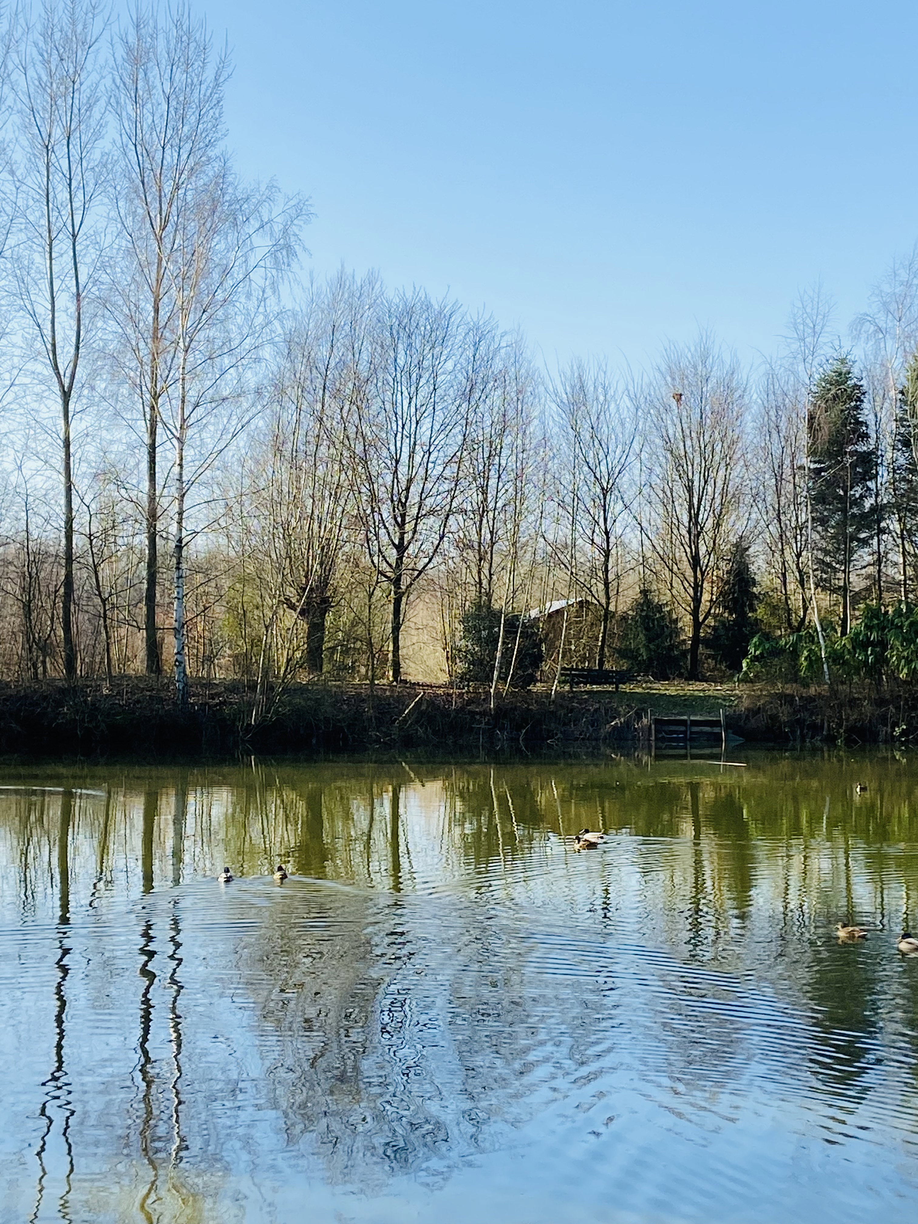 Naturhäuschen in Eerde (Schijndel - Veghel - Sint Oedenrode / Meierijstad)