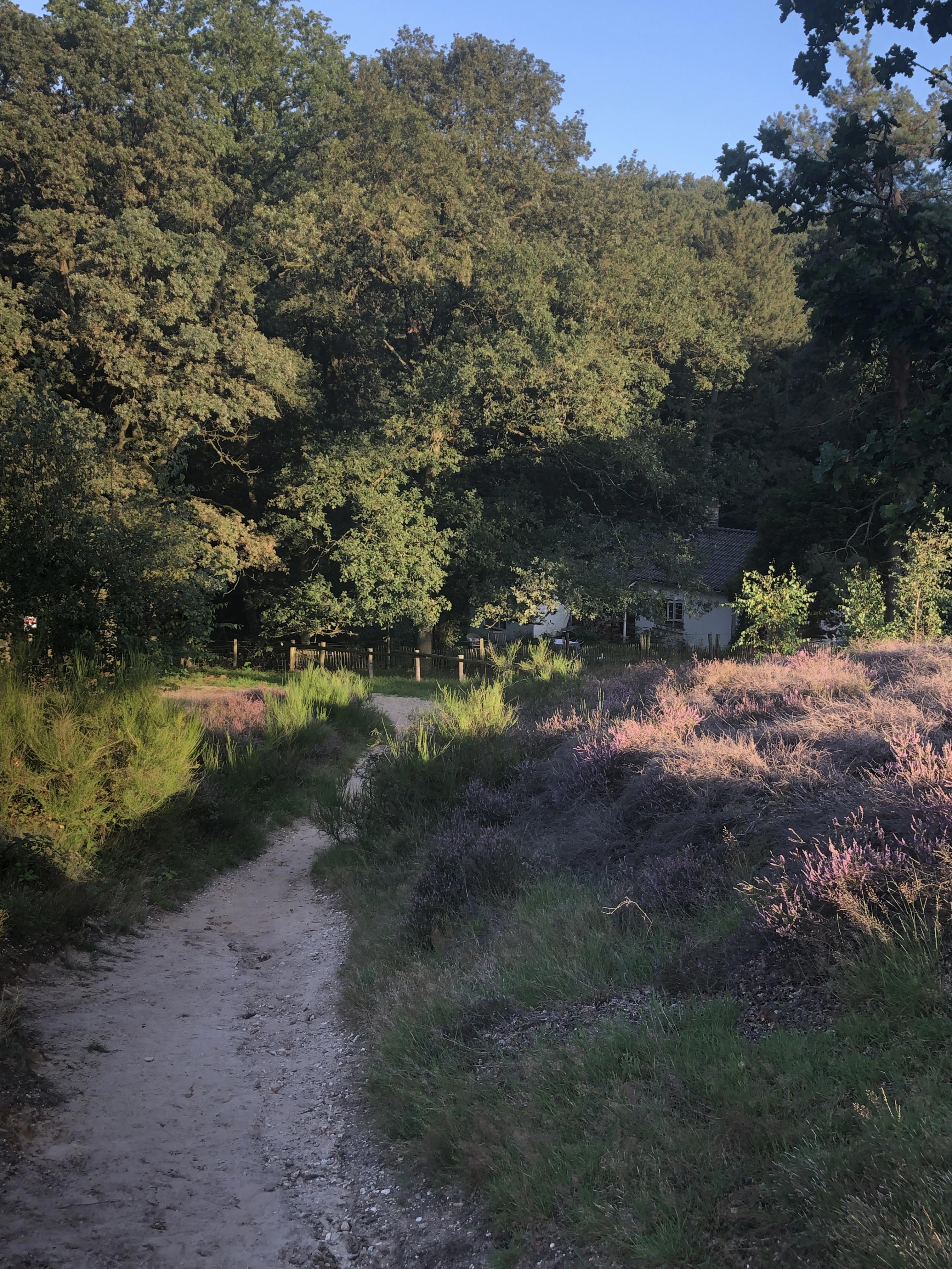 Natuurhuisje in Mook