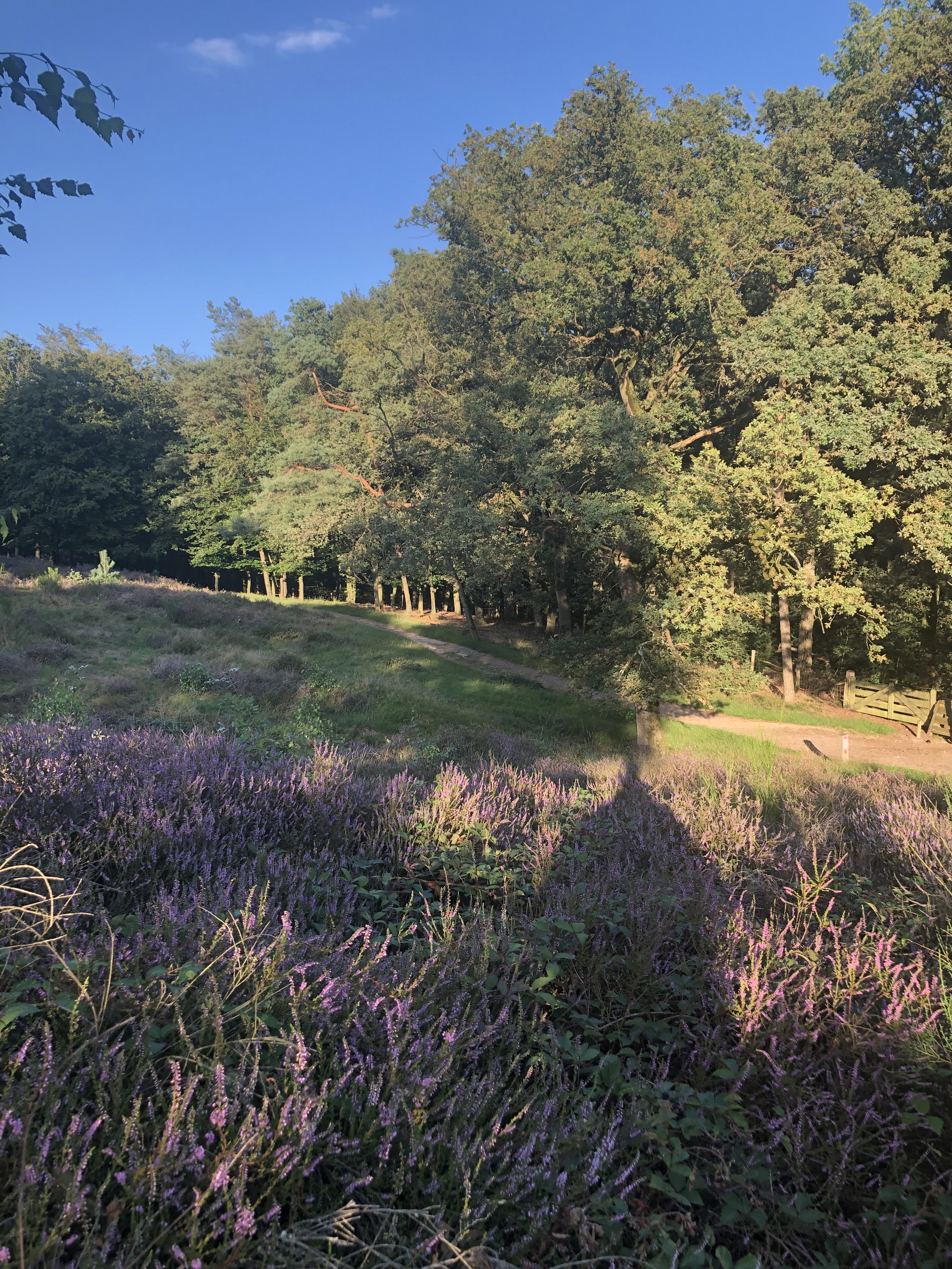 Naturhäuschen in Mook