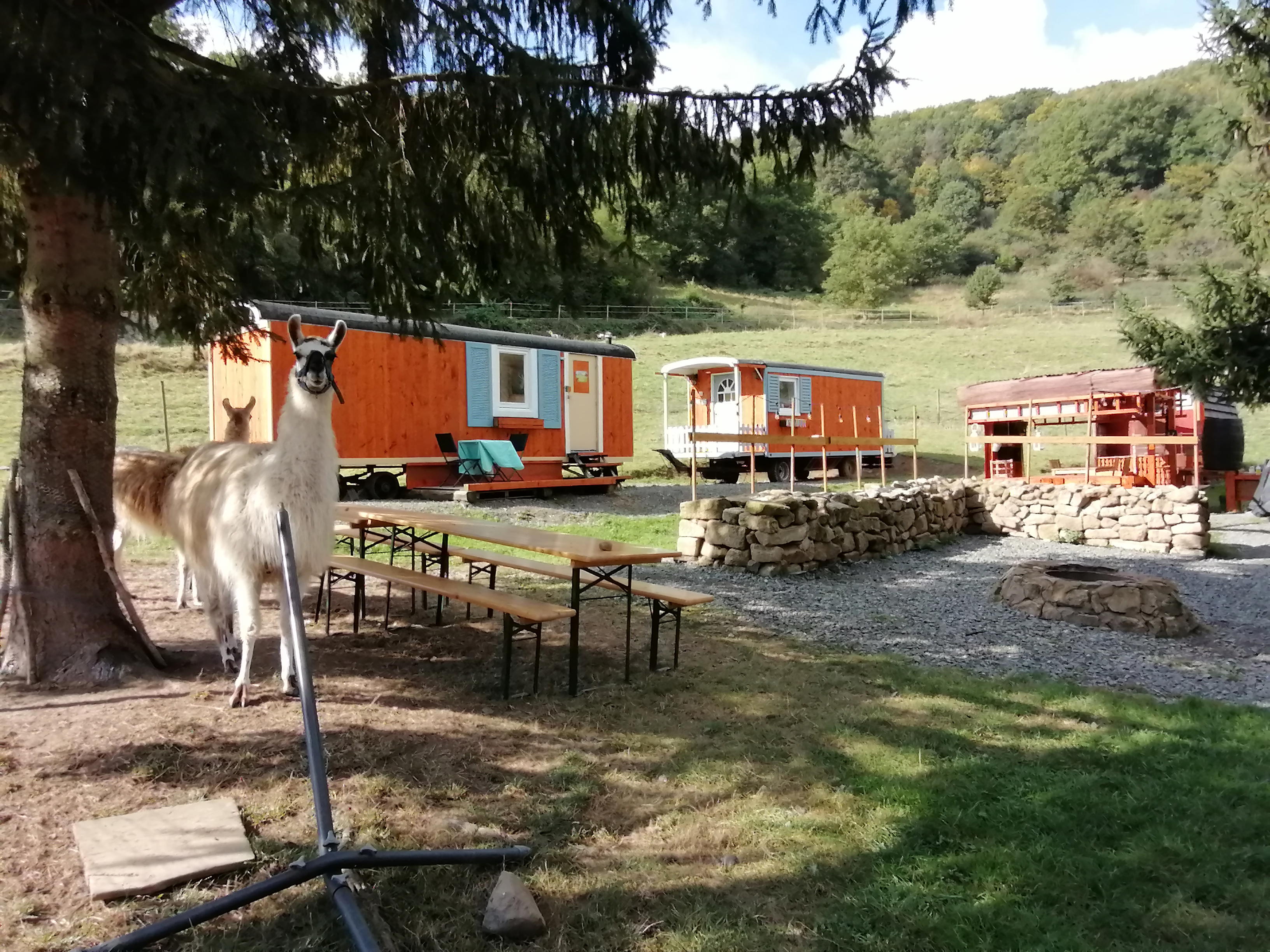 Natuurhuisje in Adenbach