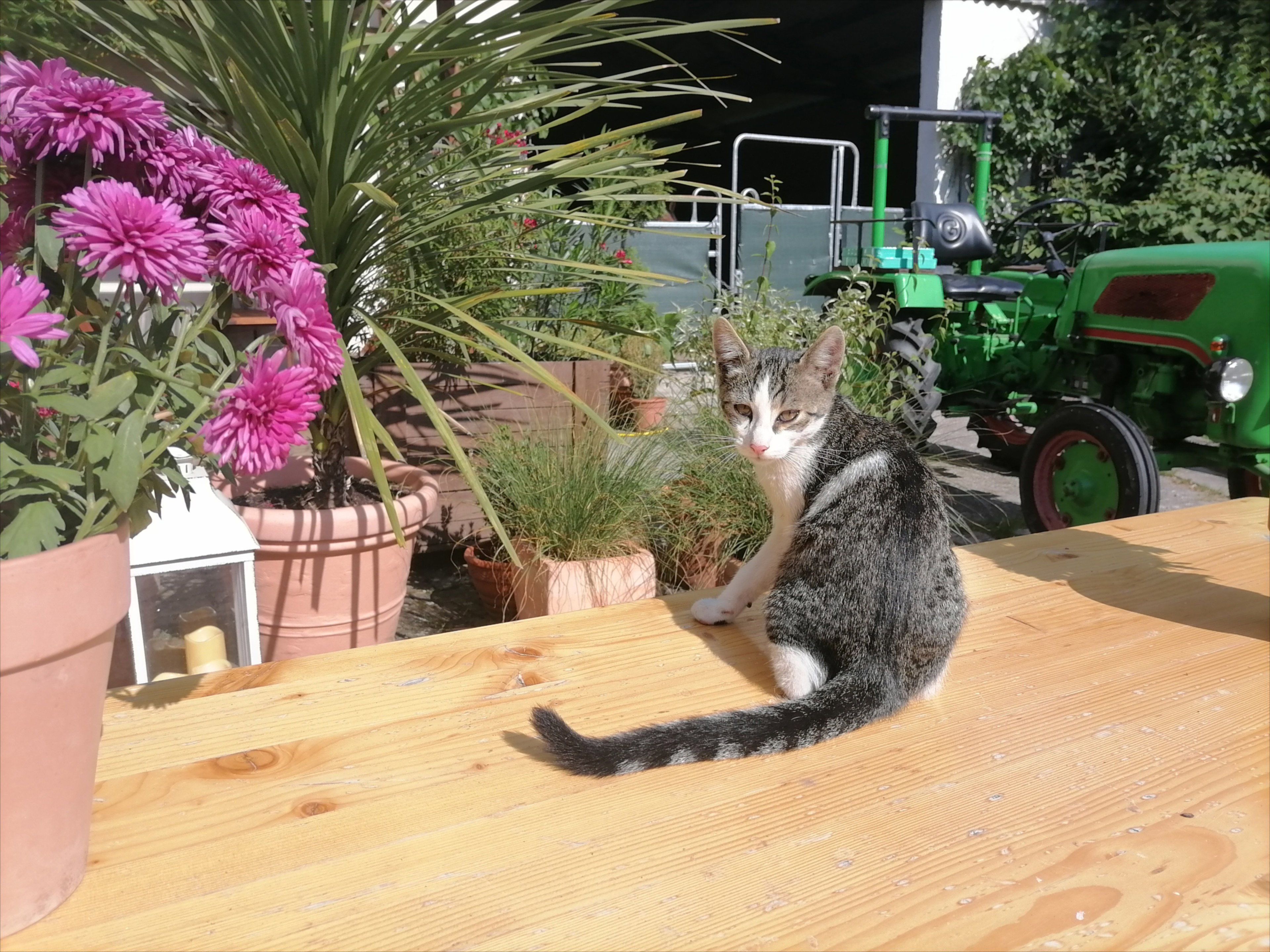 Nature house in Adenbach