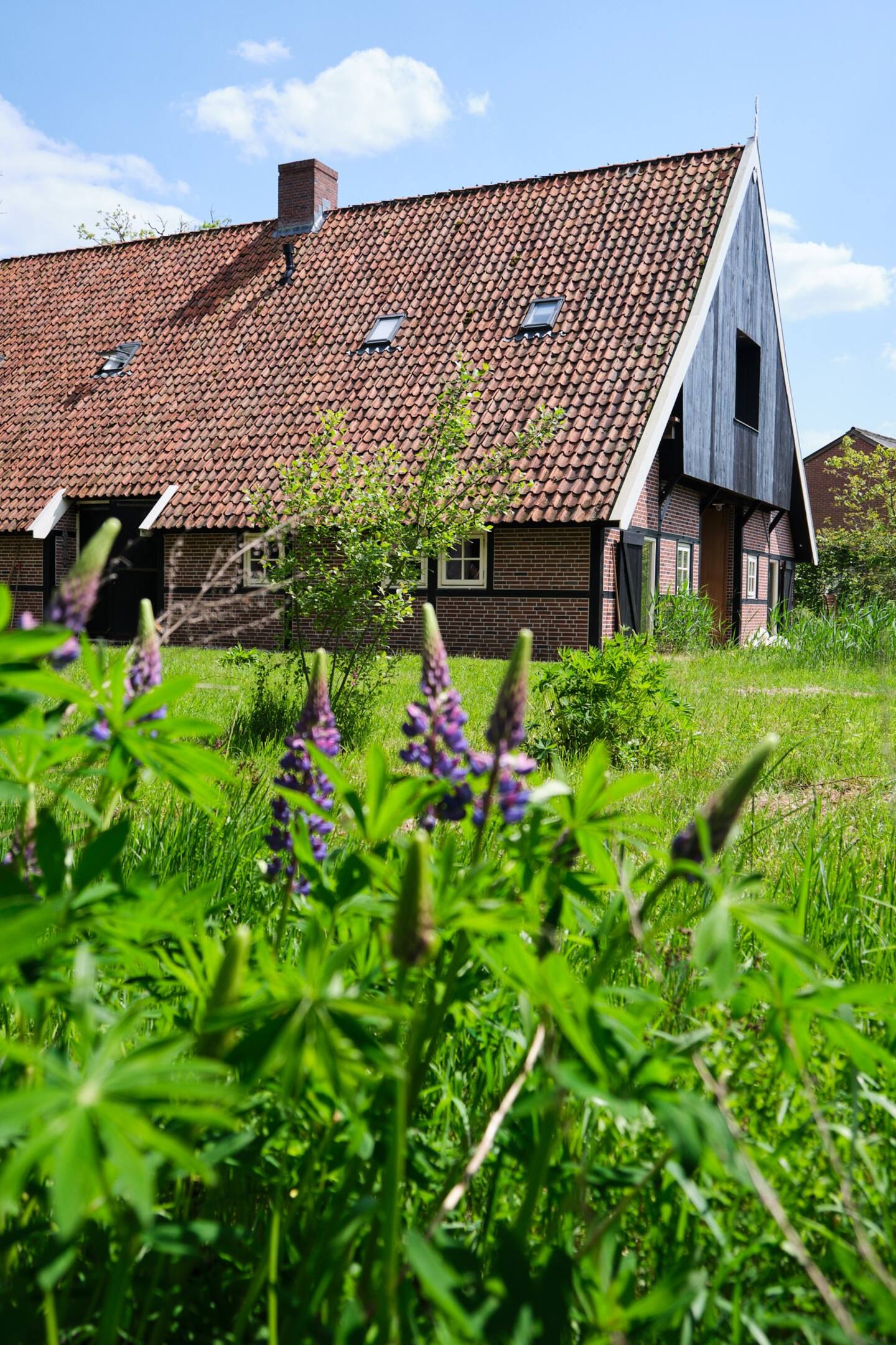 Naturhäuschen in Reutum