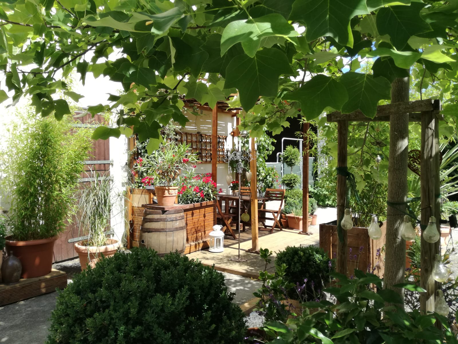 Natuurhuisje in Adenbach