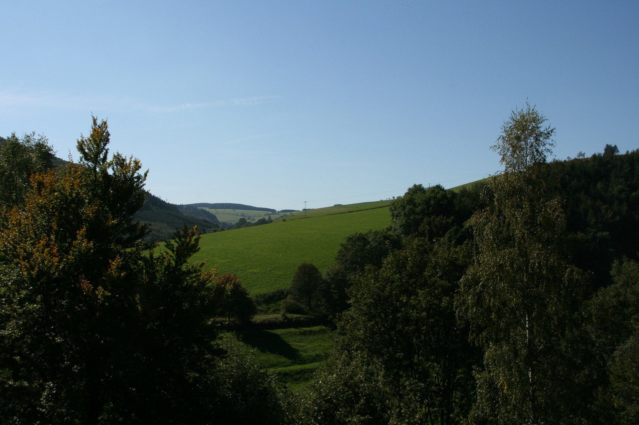 - image: 12