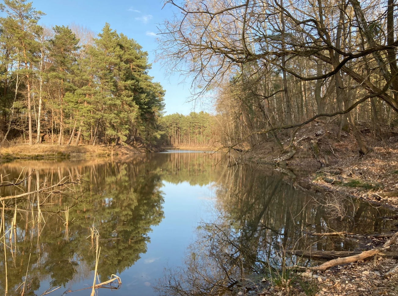 Natuurhuisje in Zieko