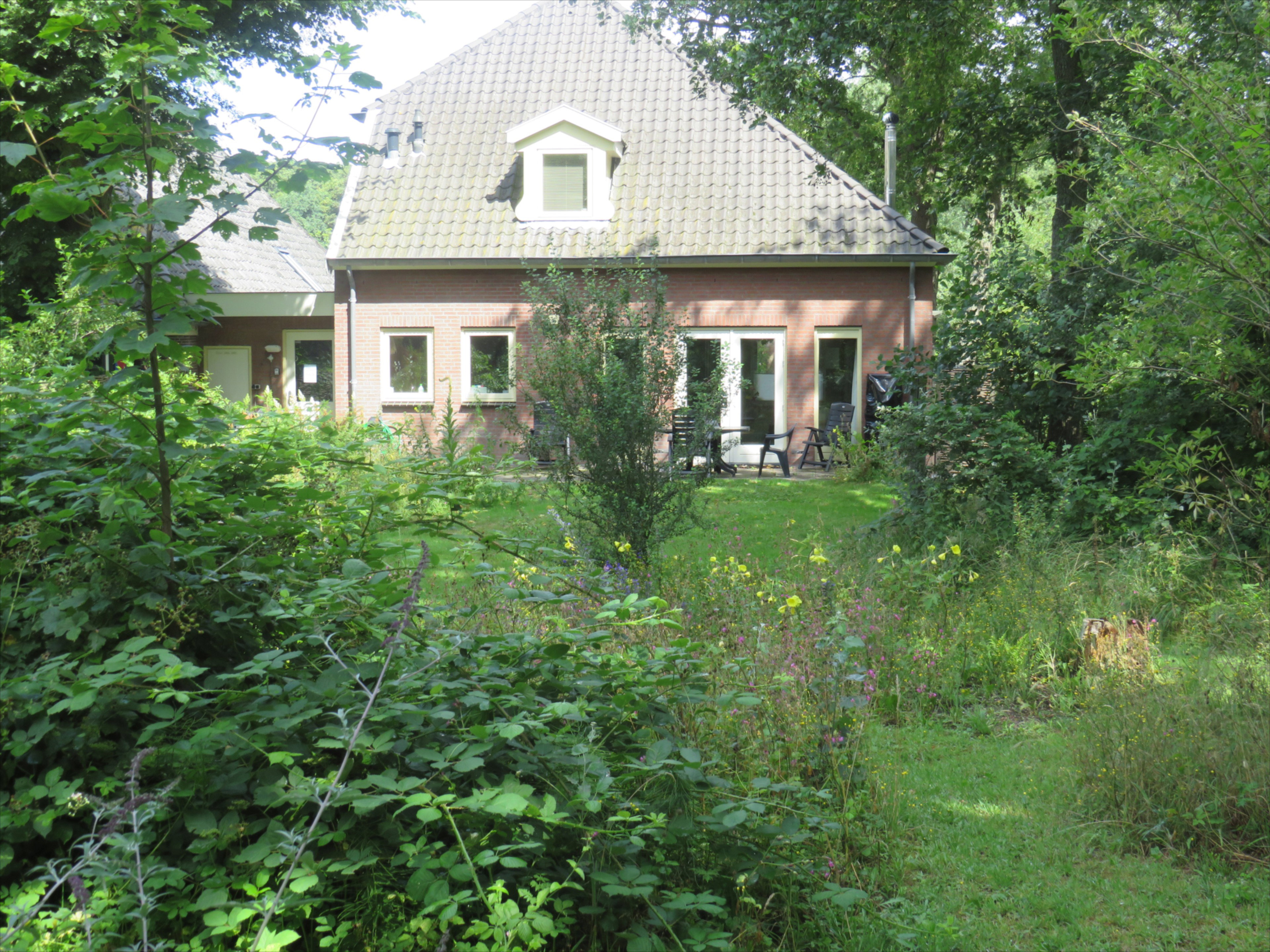 - image: 13