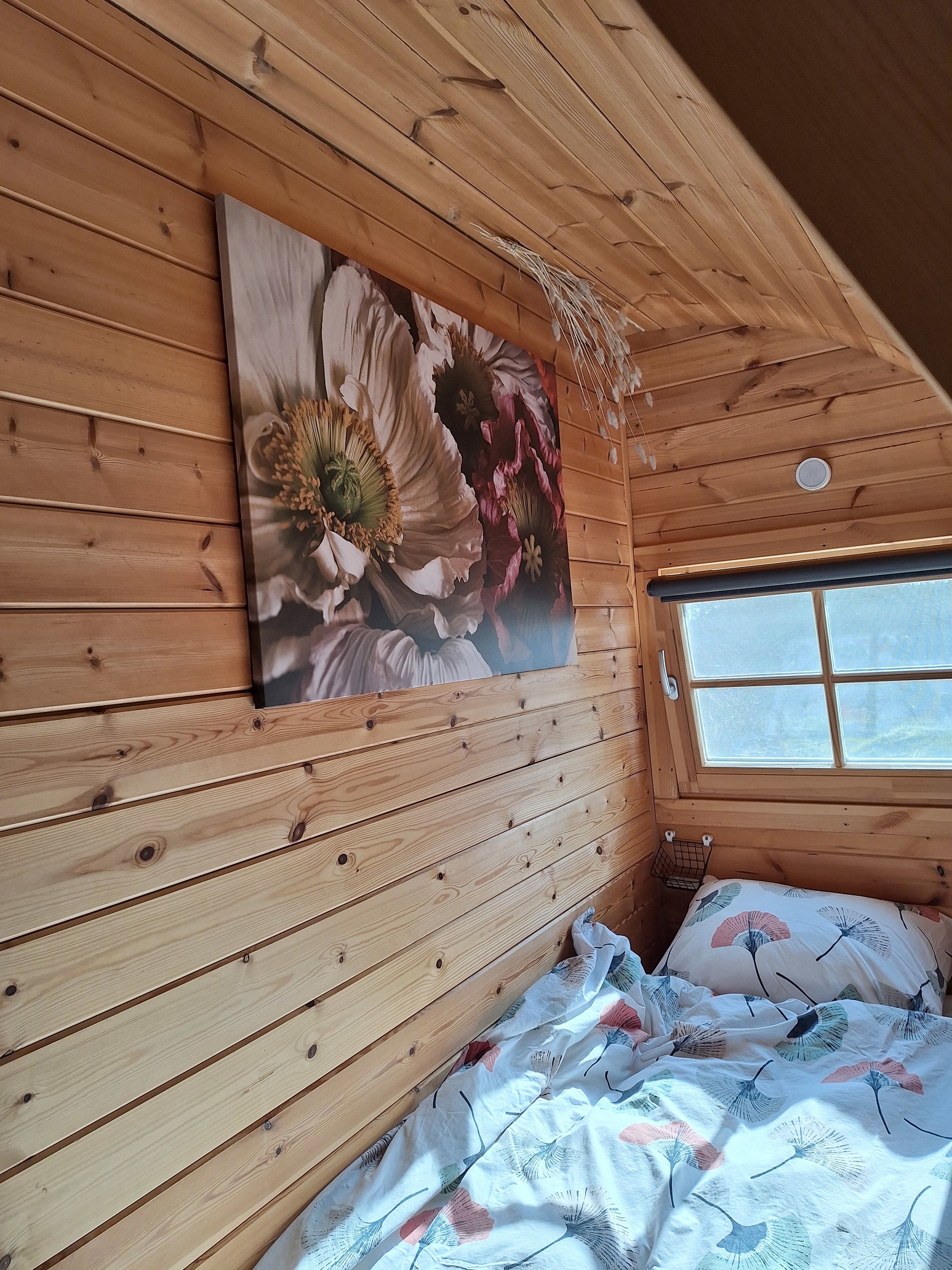 Casa nella natura a Finsterwolde