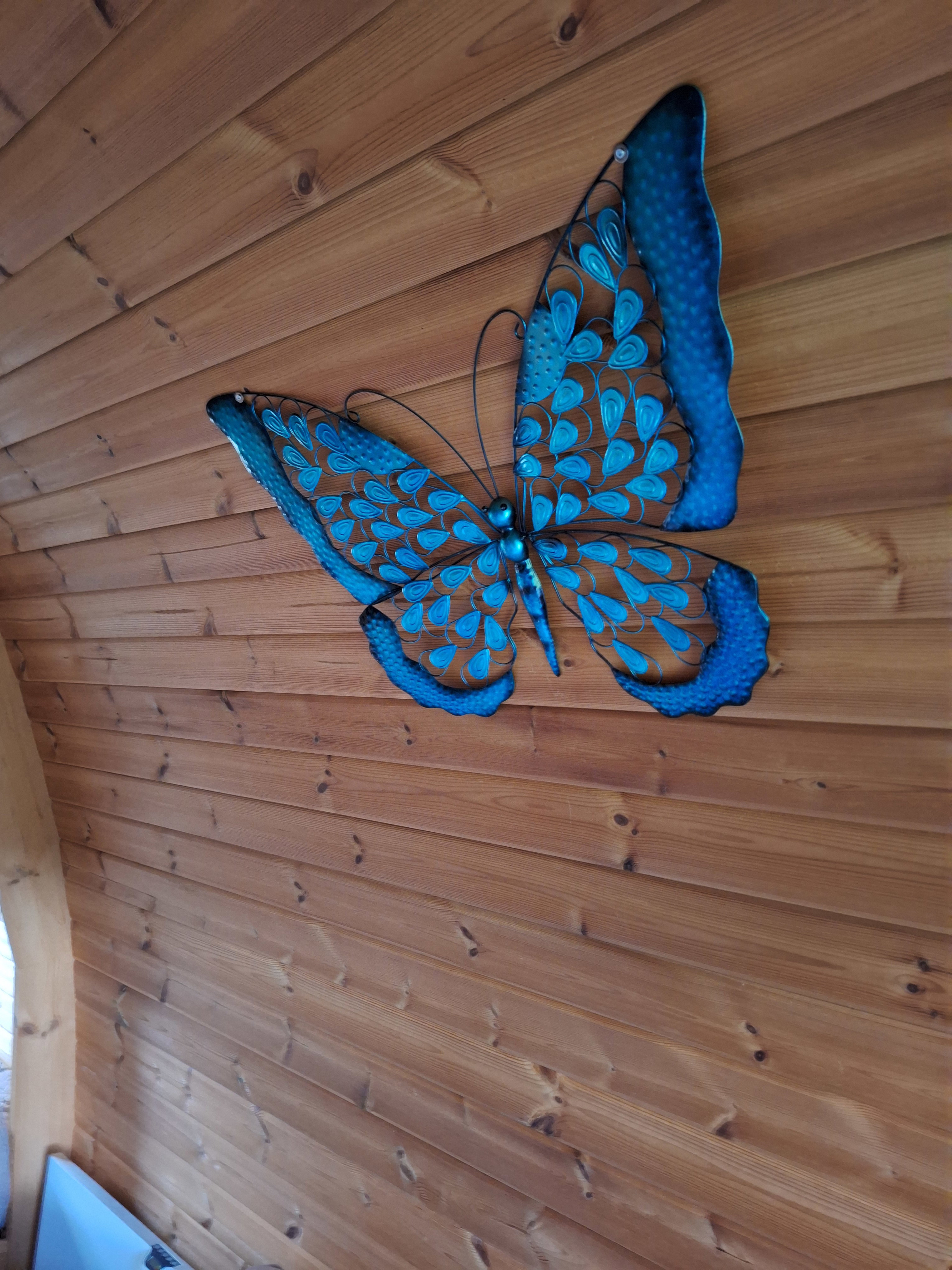 Maison nature à Finsterwolde
