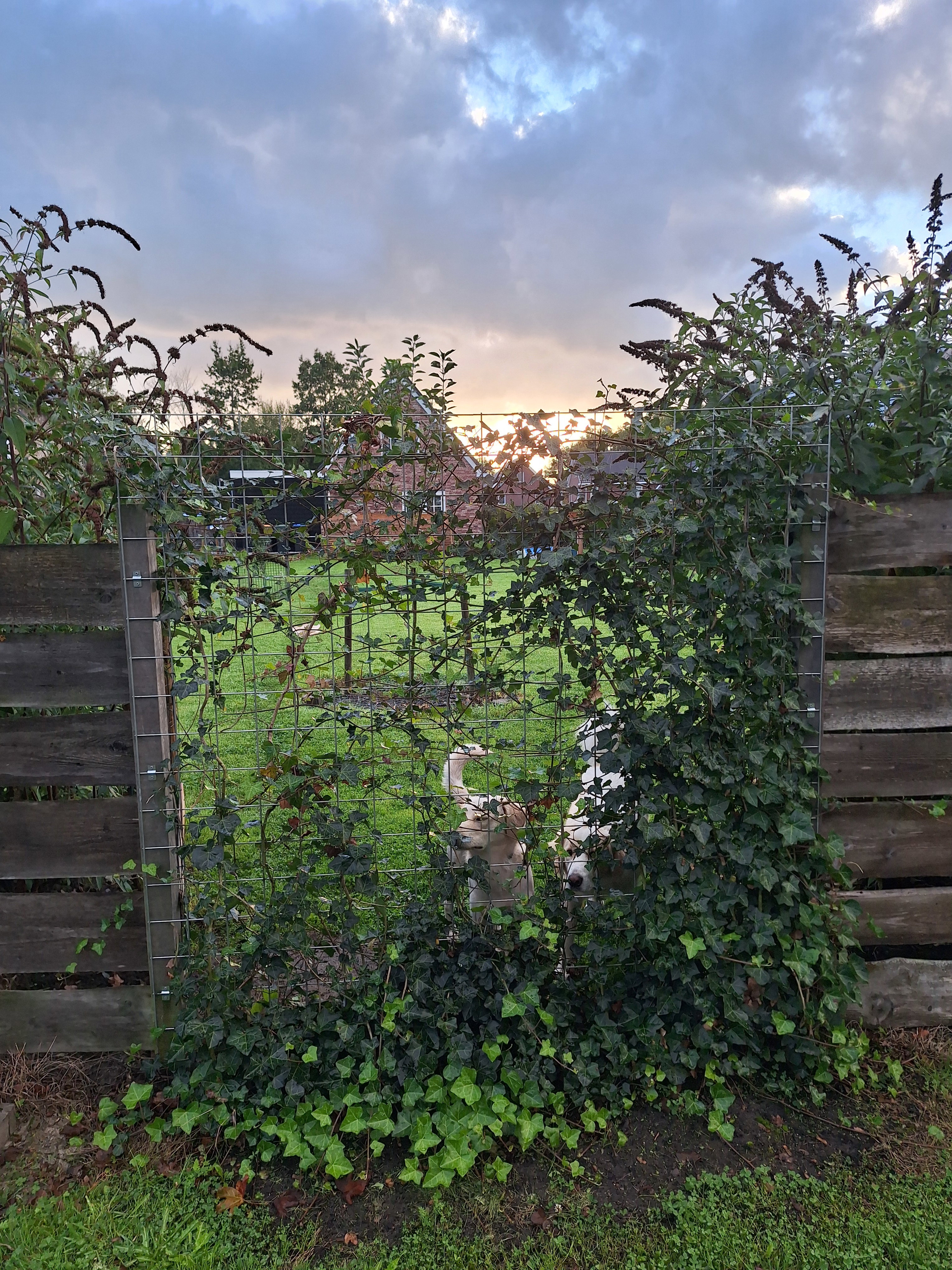 Maison nature à Finsterwolde