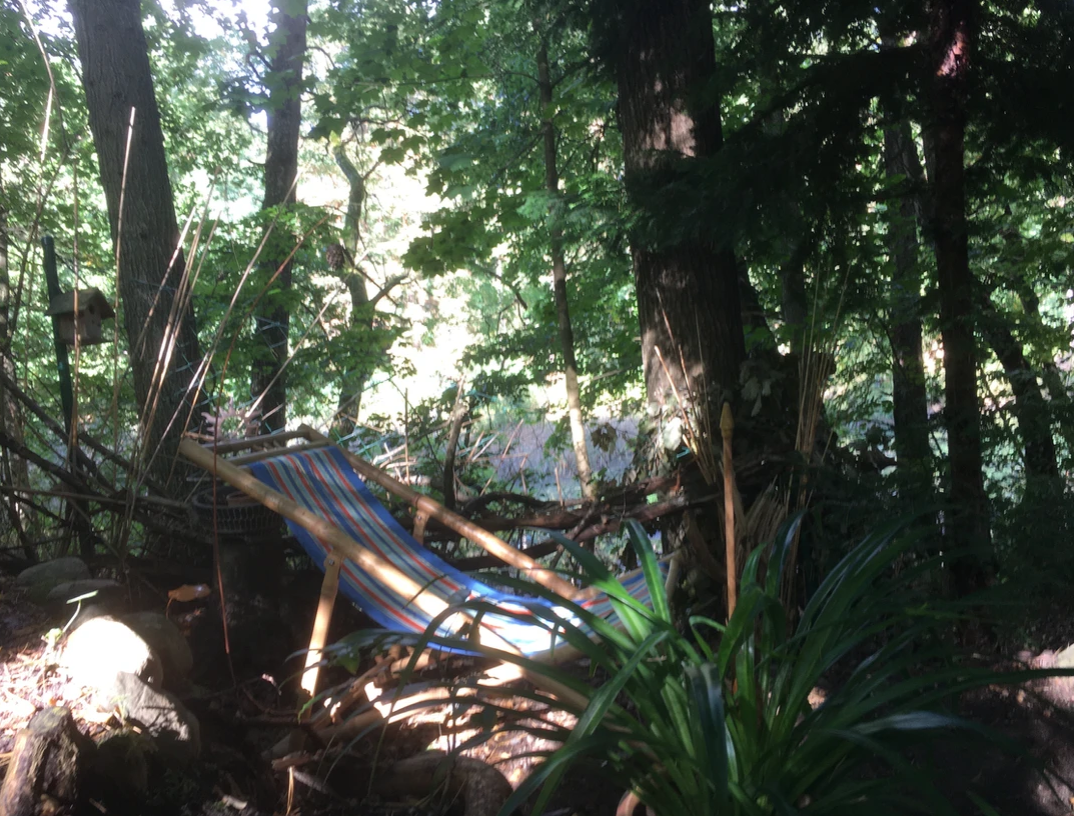 Casa nella natura a Coswig/Anhalt