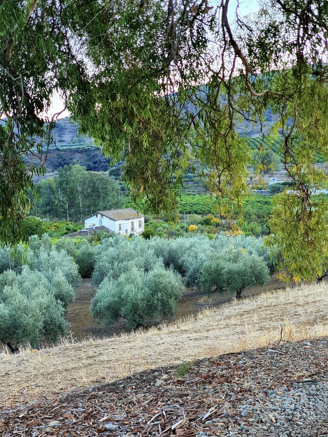 Casa nella natura a Alora